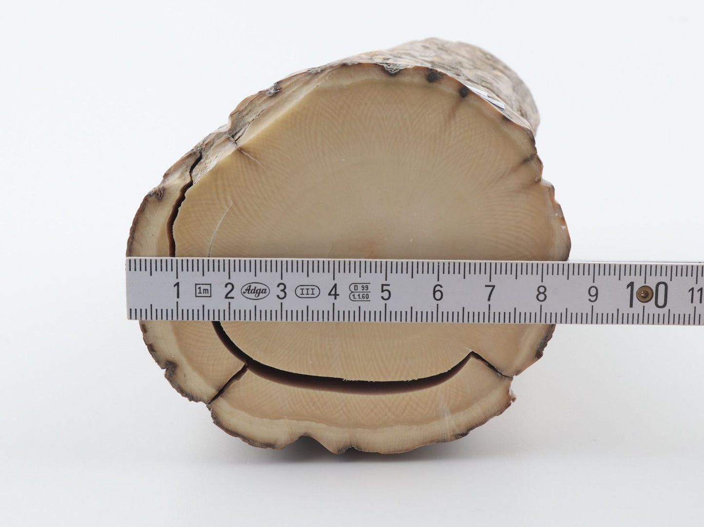 Round mammoth tusk piece