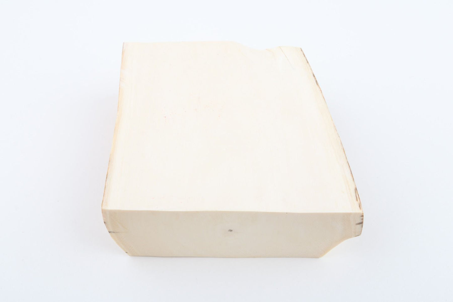 White mammoth ivory segment