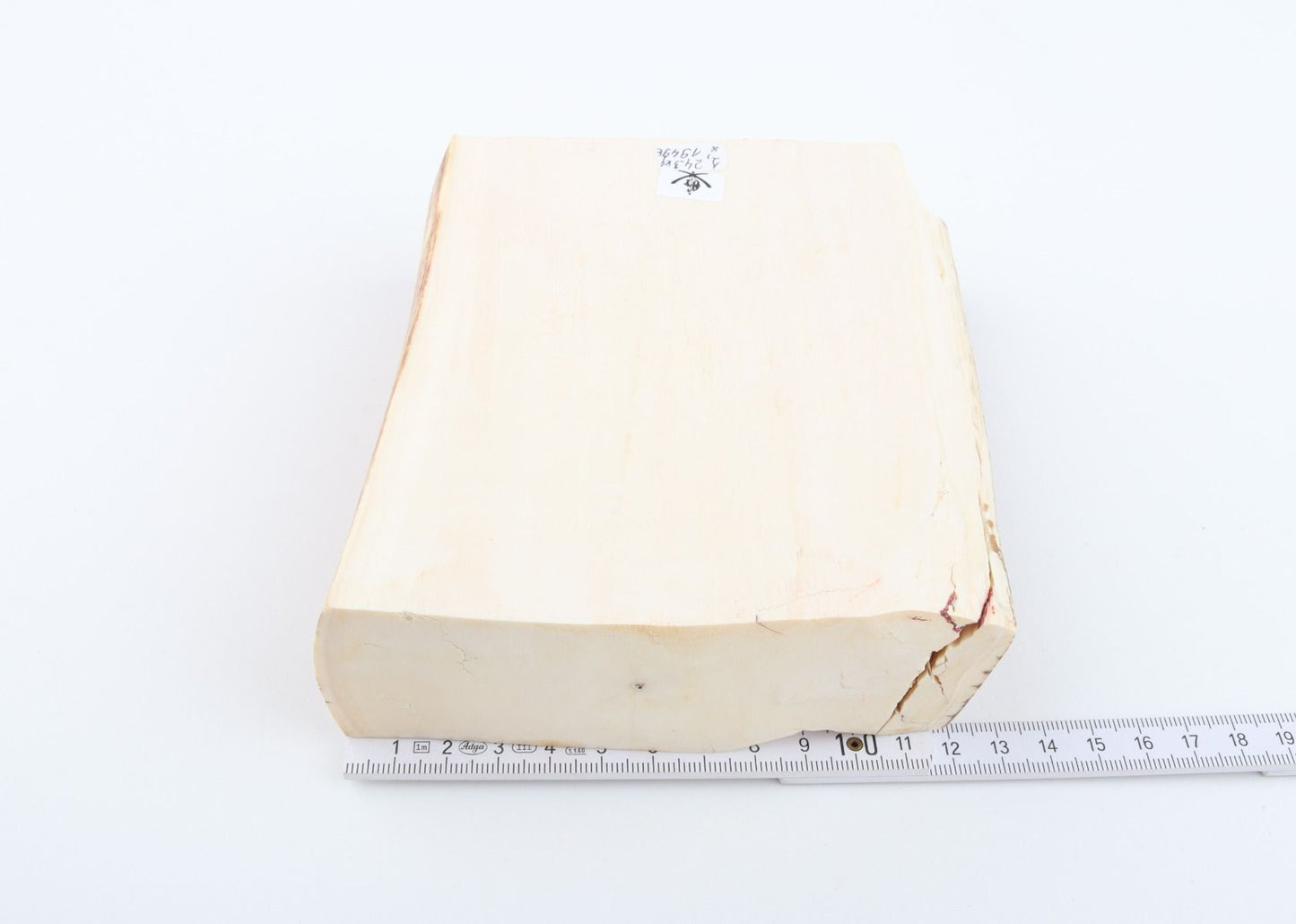 White mammoth ivory segment