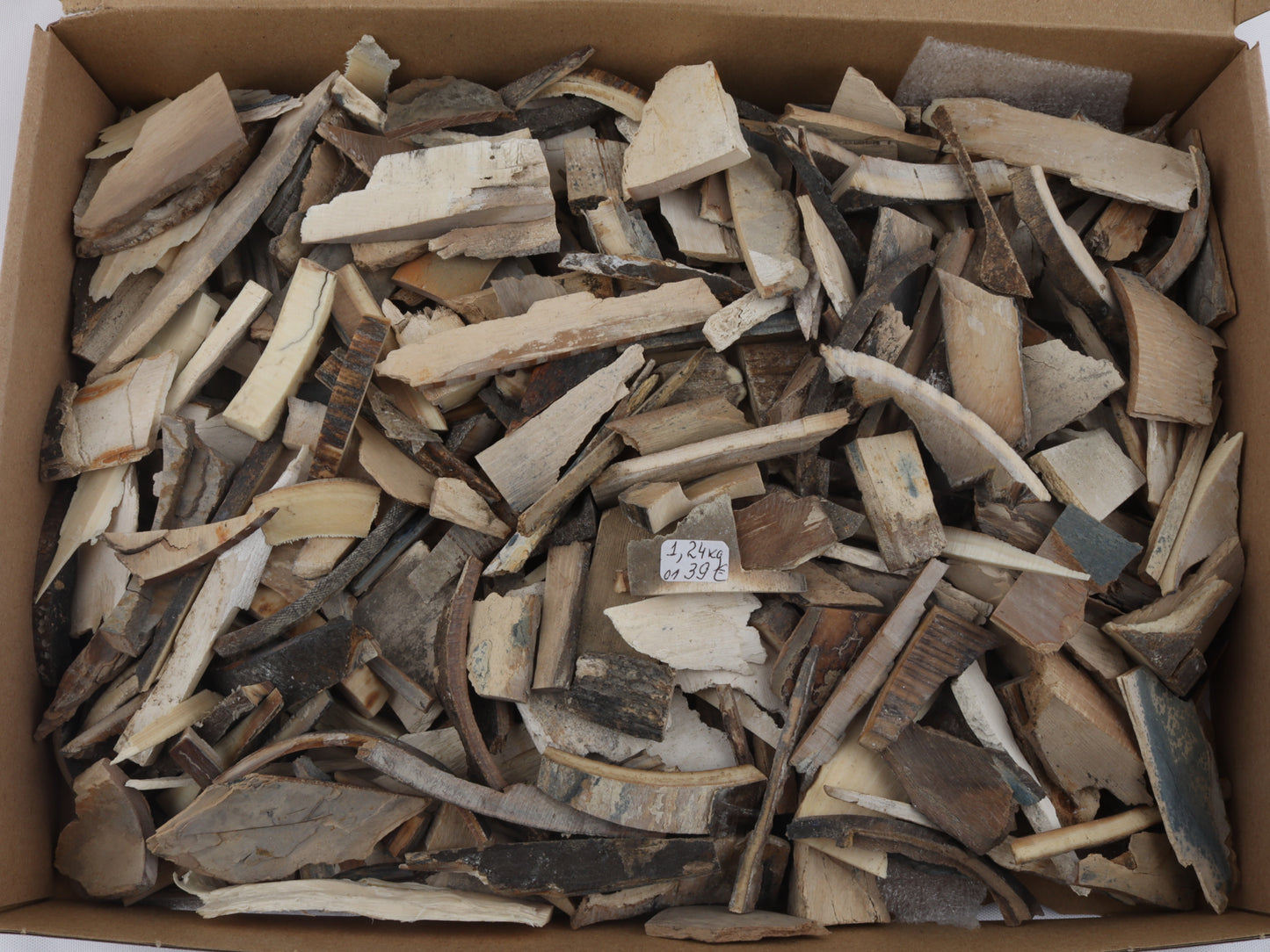 Raw mammoth ivory pieces