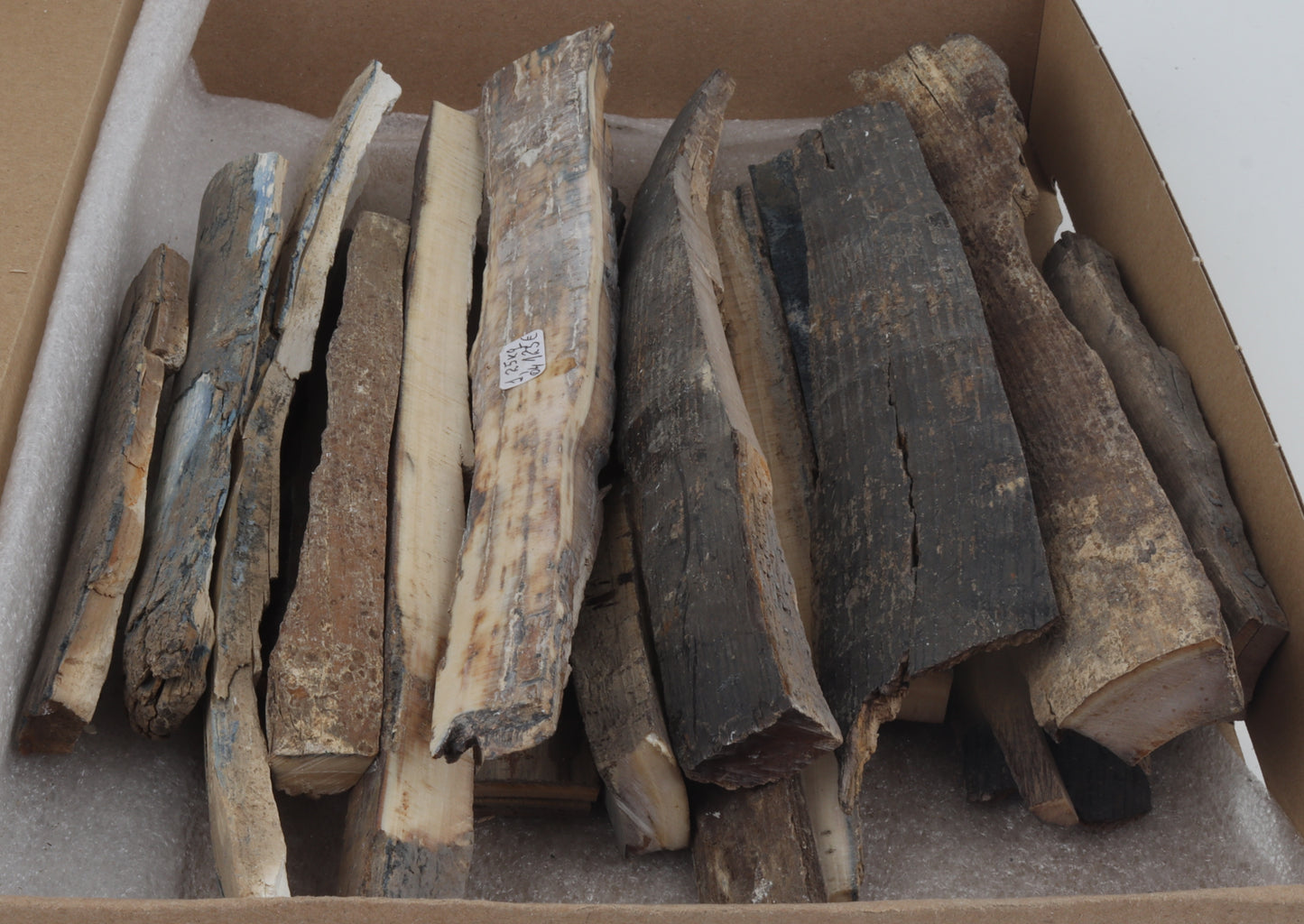 Raw mammoth ivory offcuts