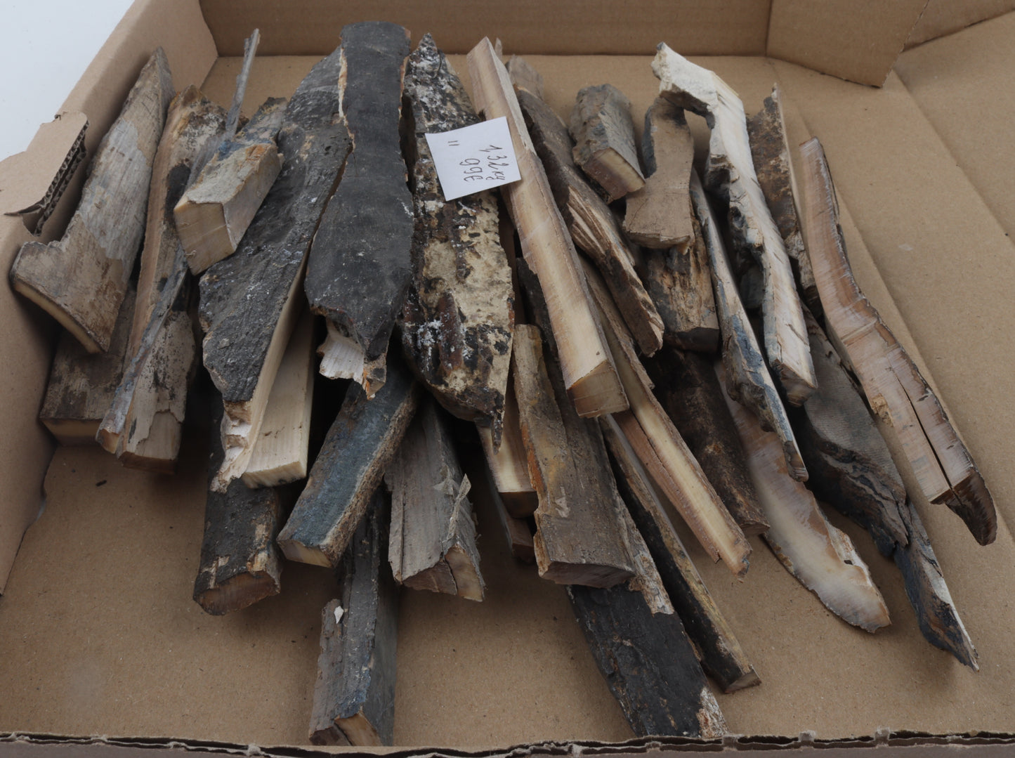 Untreated mammoth ivory offcuts