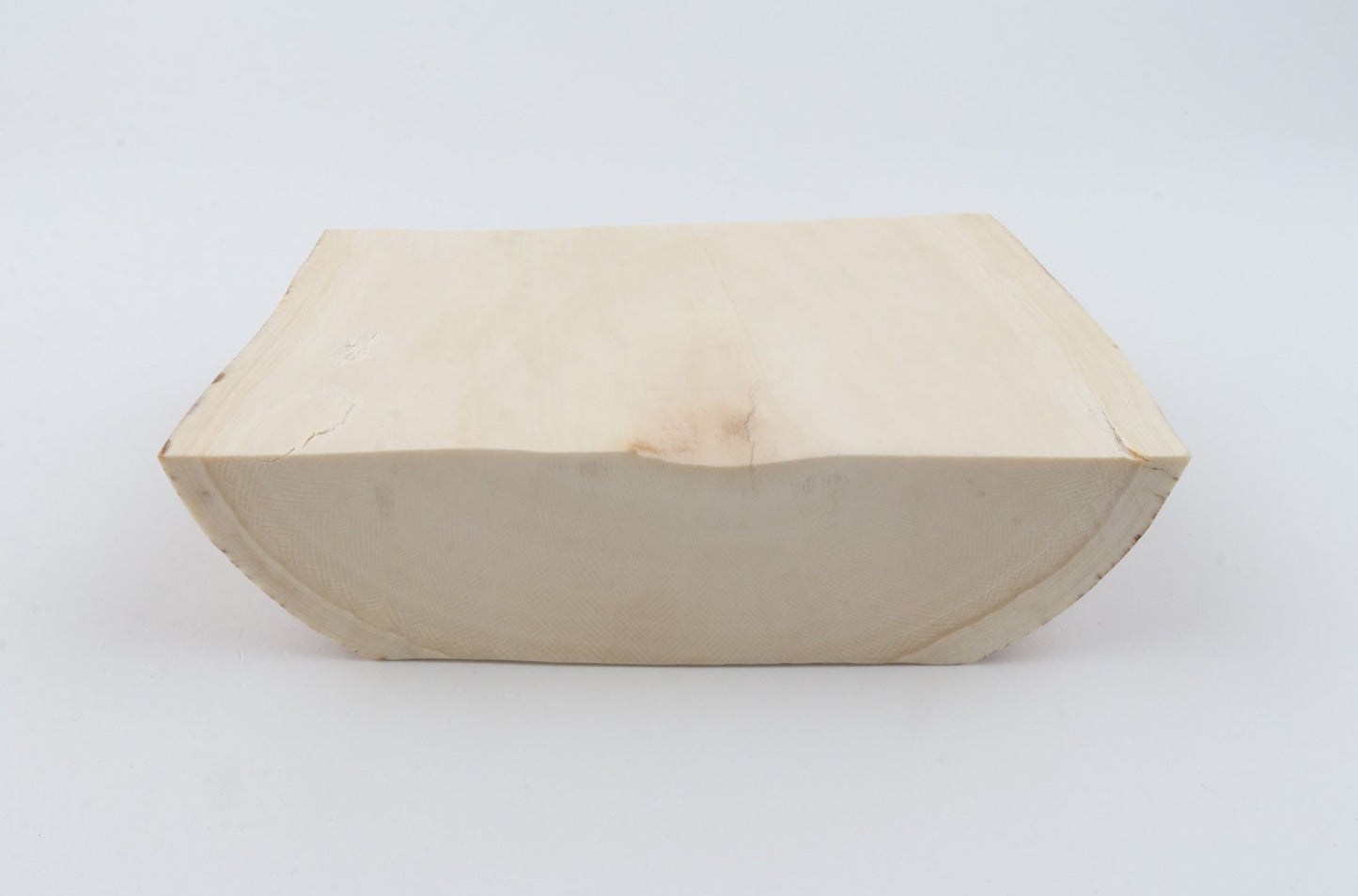 White mammoth ivory segment
