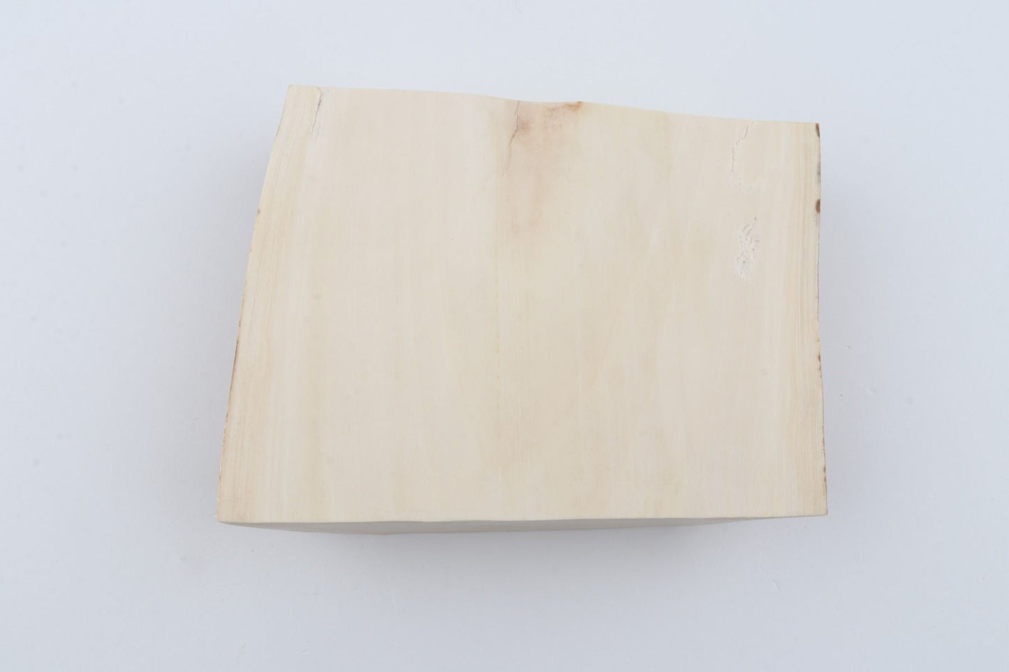 White mammoth ivory segment