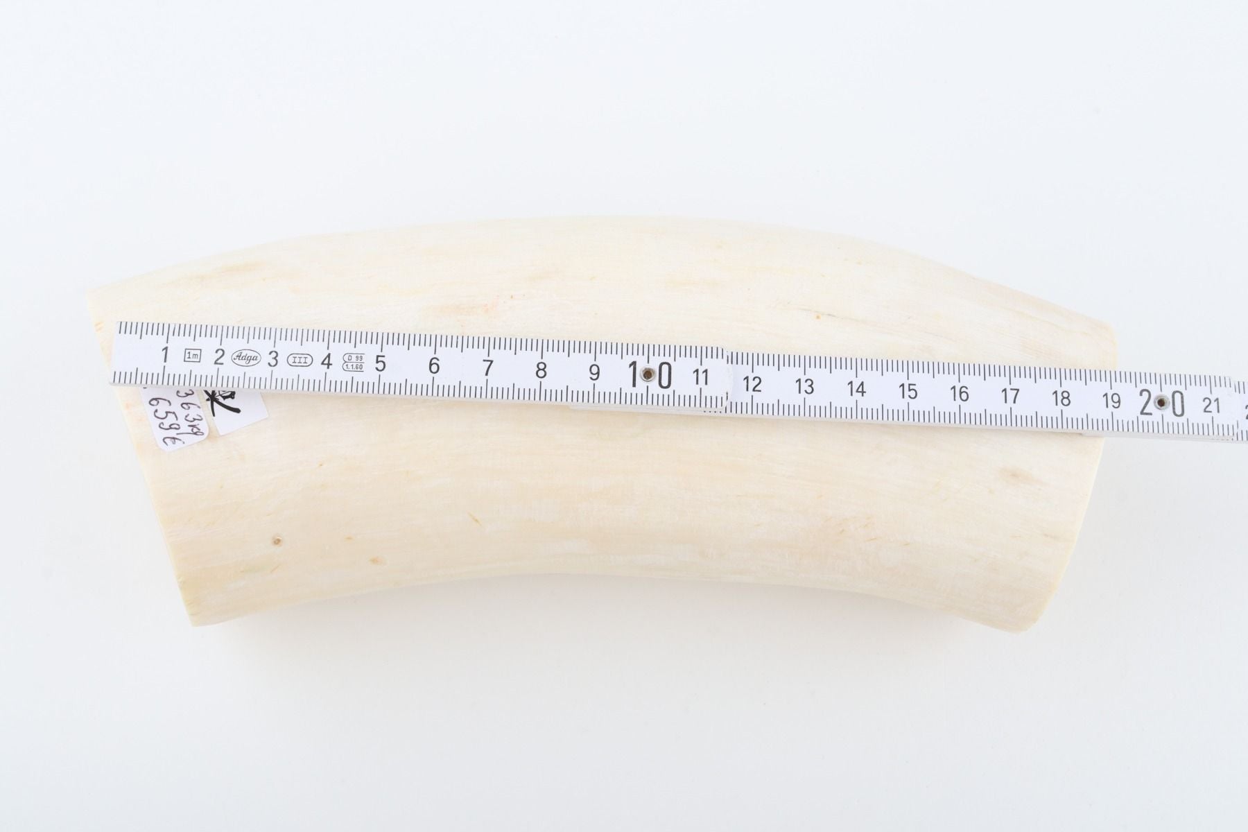 Natural mammoth tusk piece