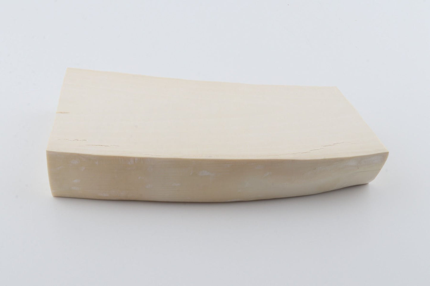 White mammoth ivory segment