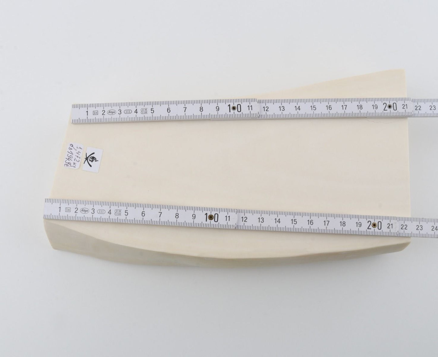 White mammoth ivory segment