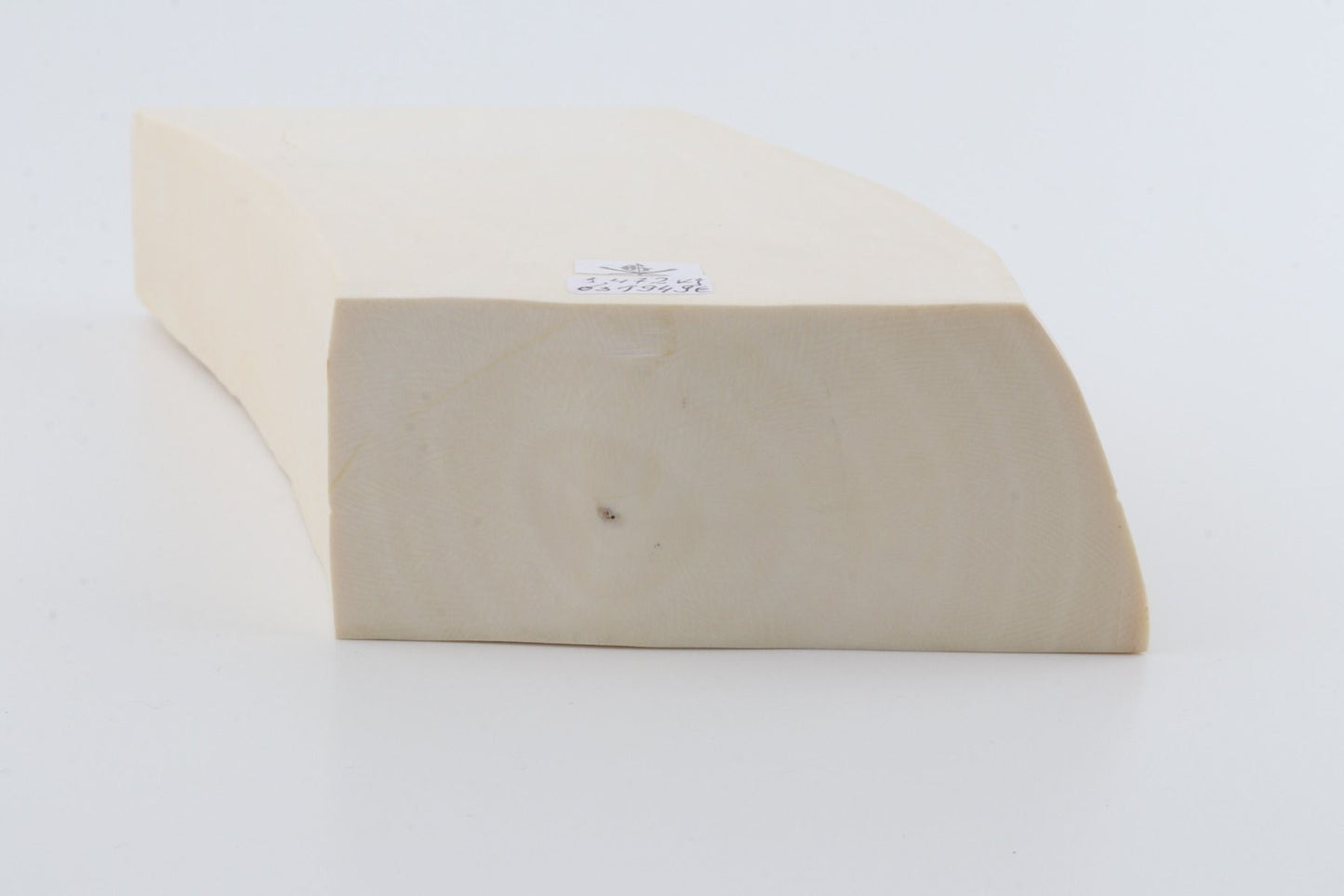 White mammoth ivory segment