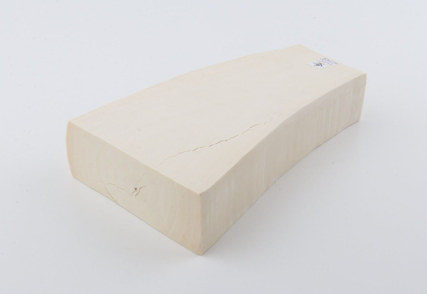 White mammoth ivory segment