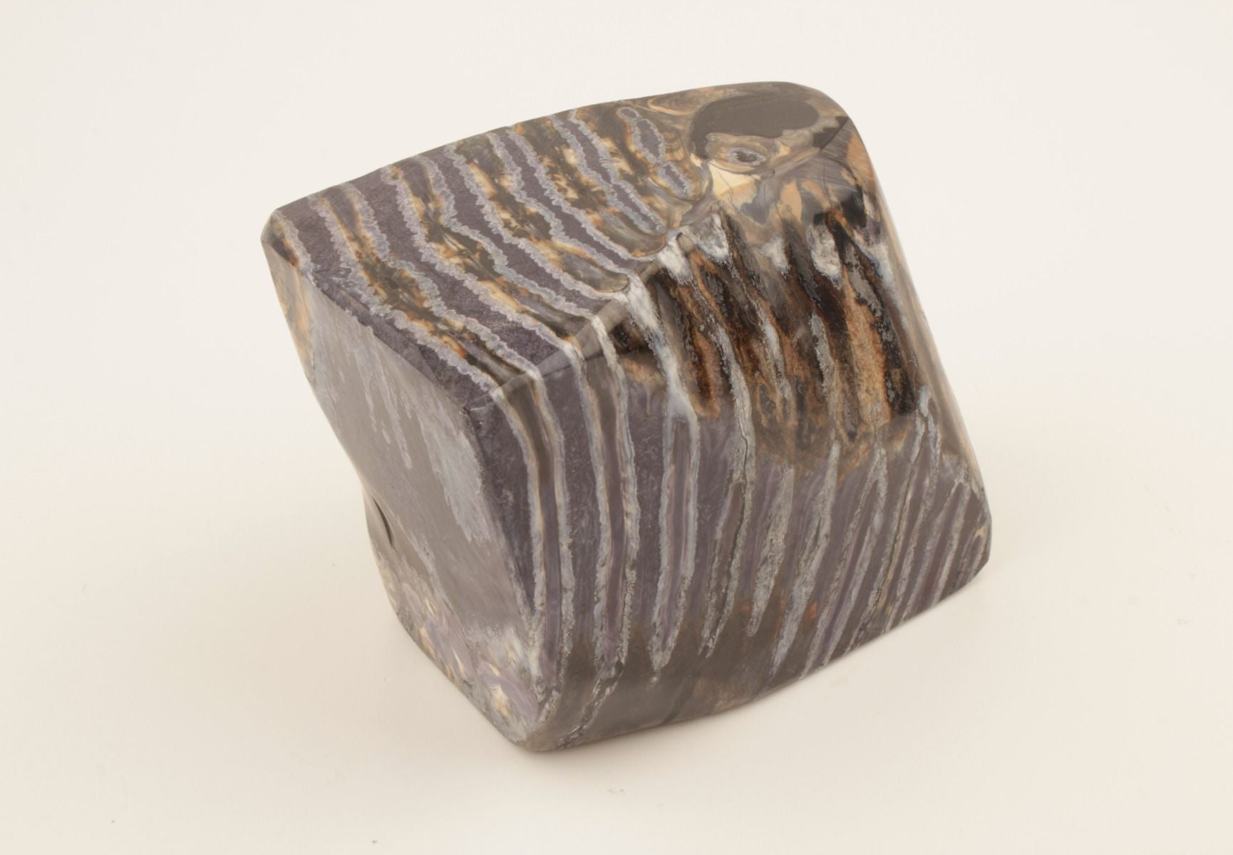 Stabilised mammoth molar piece