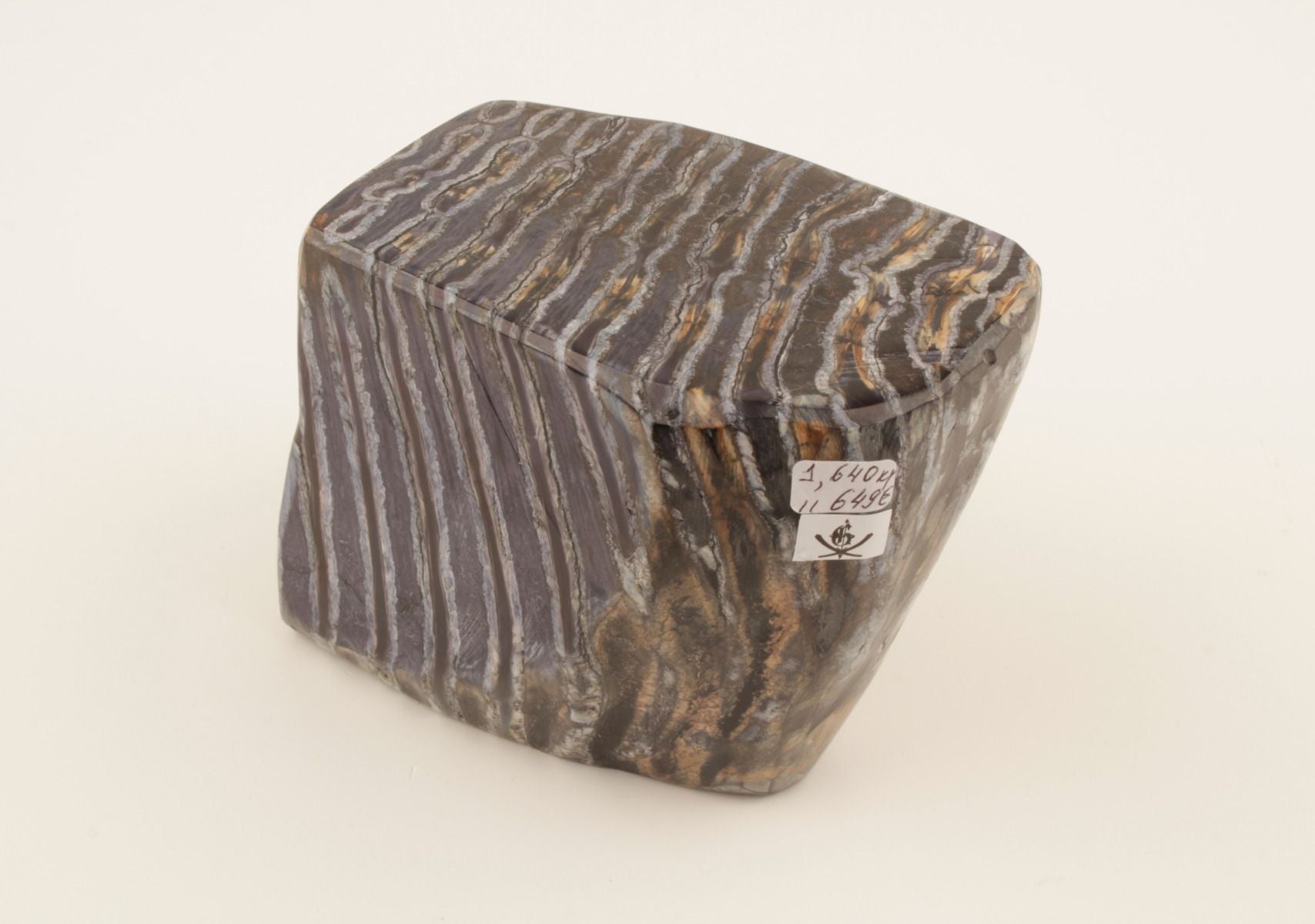 Stabilised mammoth molar piece