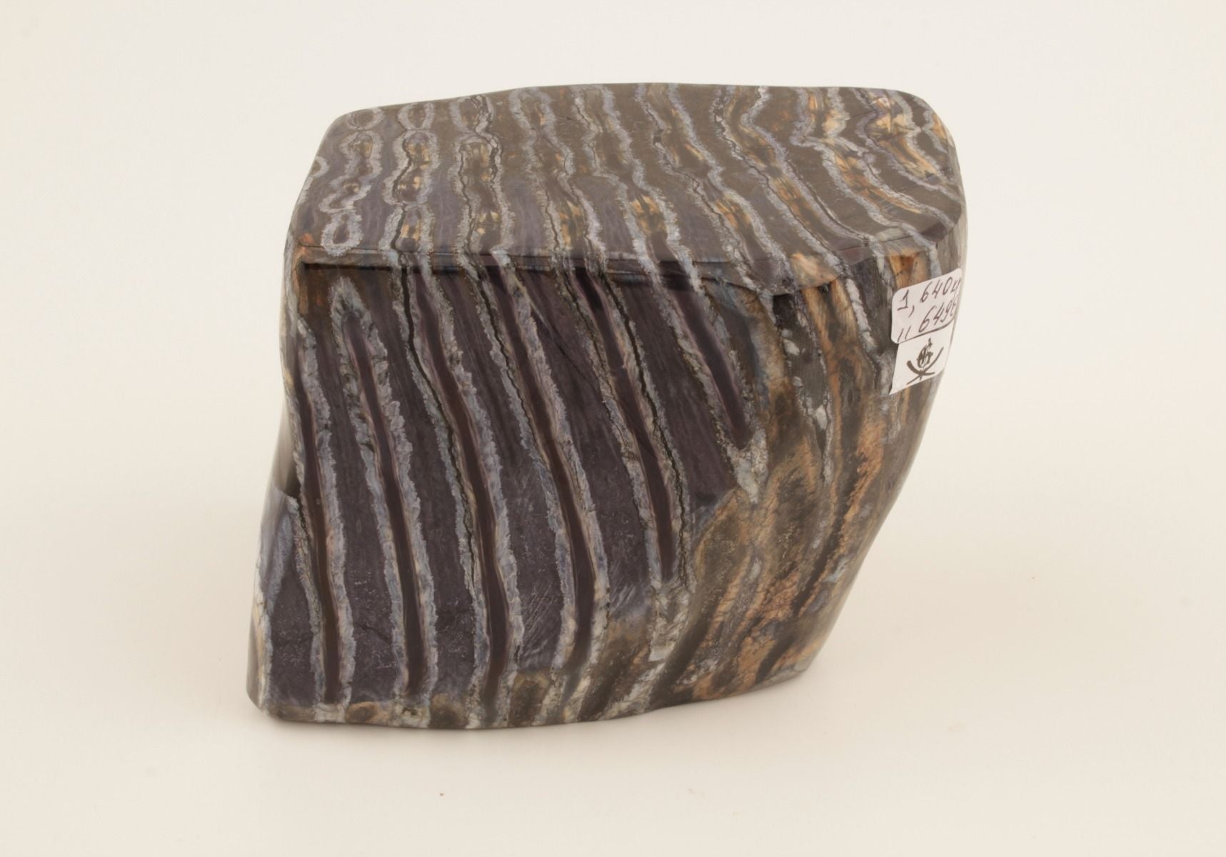 Stabilised mammoth molar piece
