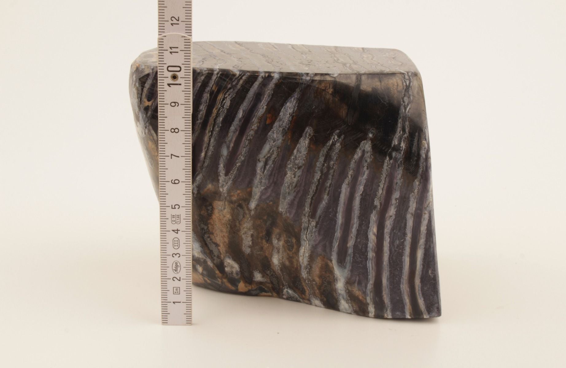 Stabilised mammoth molar piece