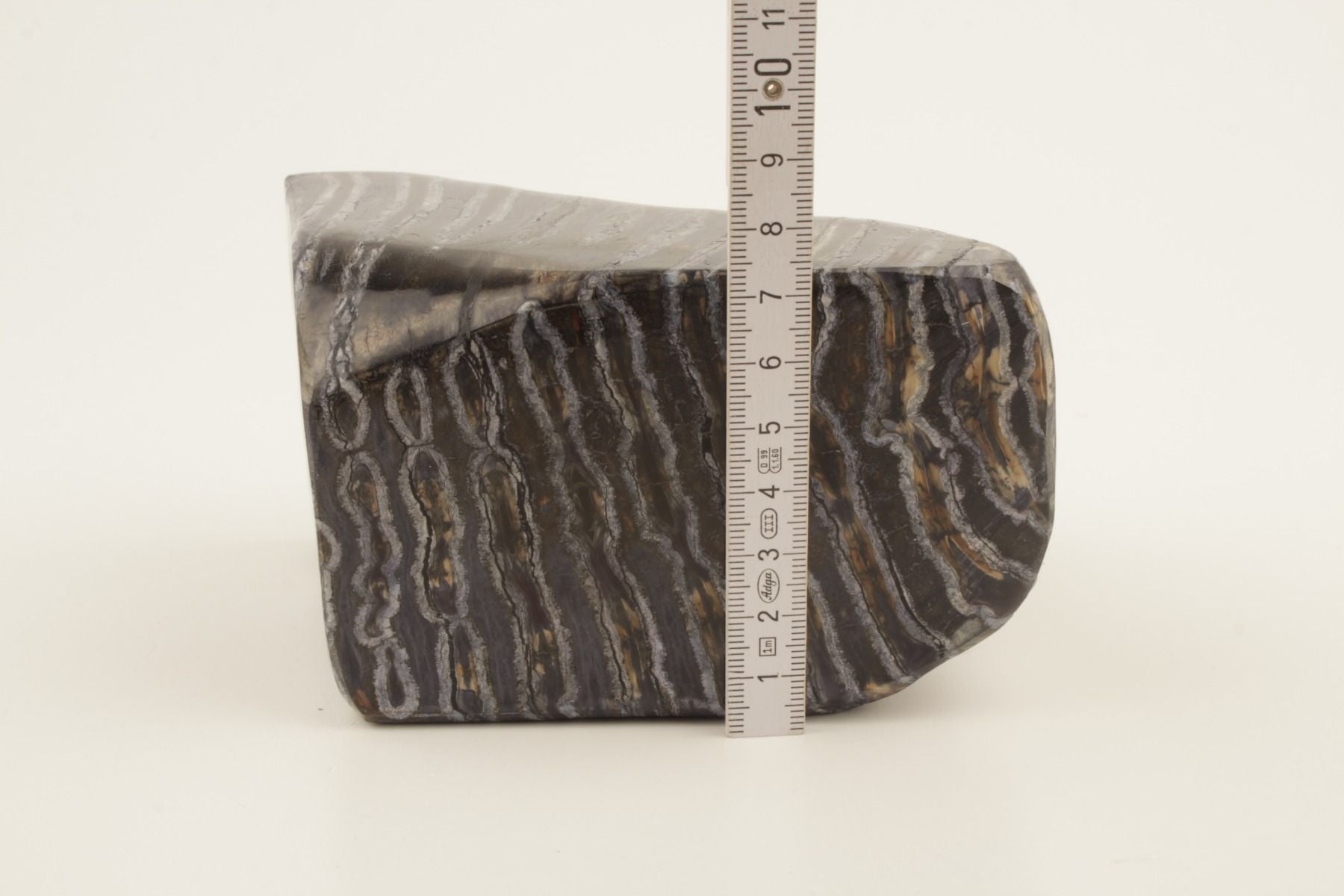 Stabilised mammoth molar piece