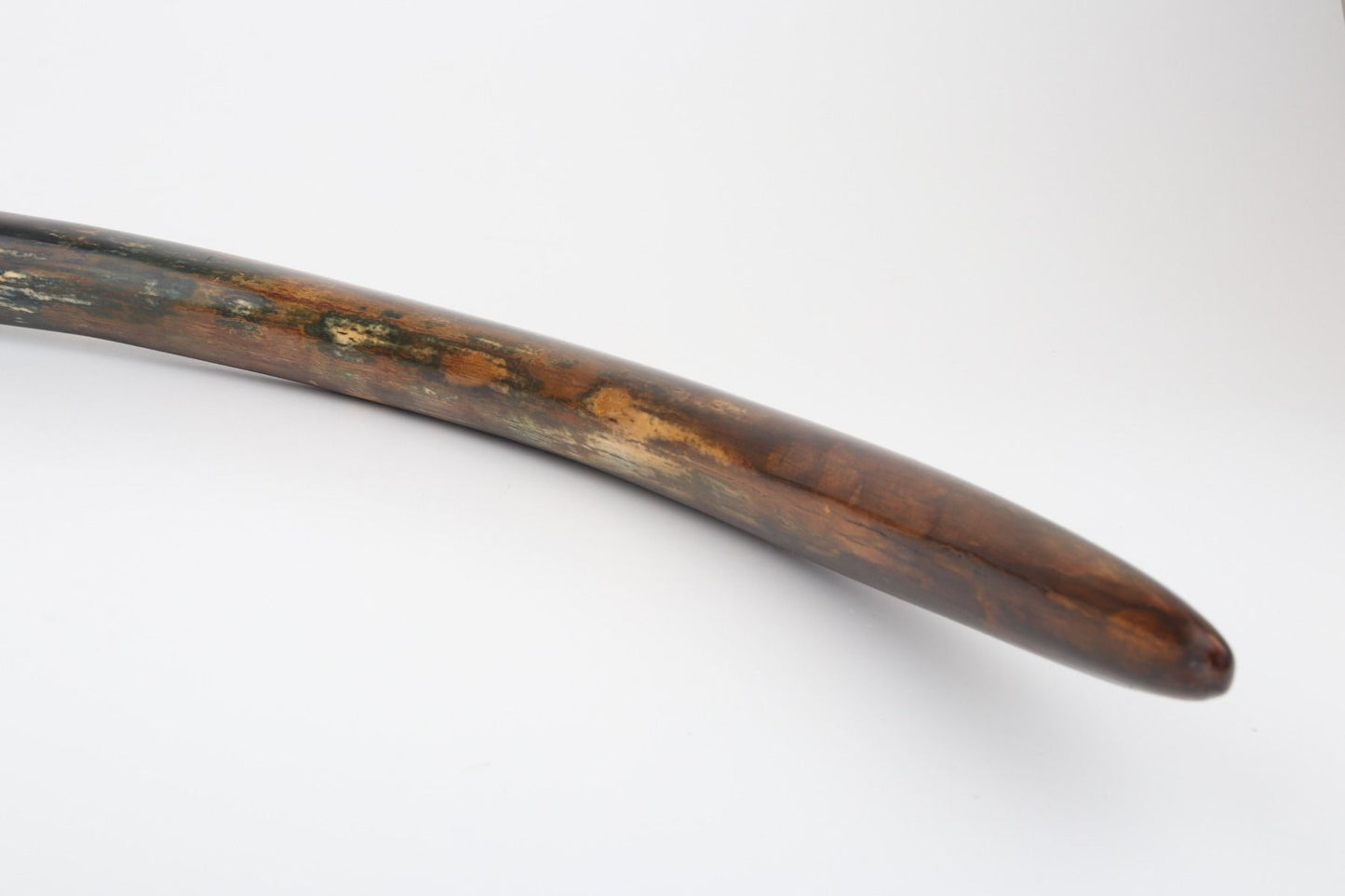 Restored mammoth tusk tip