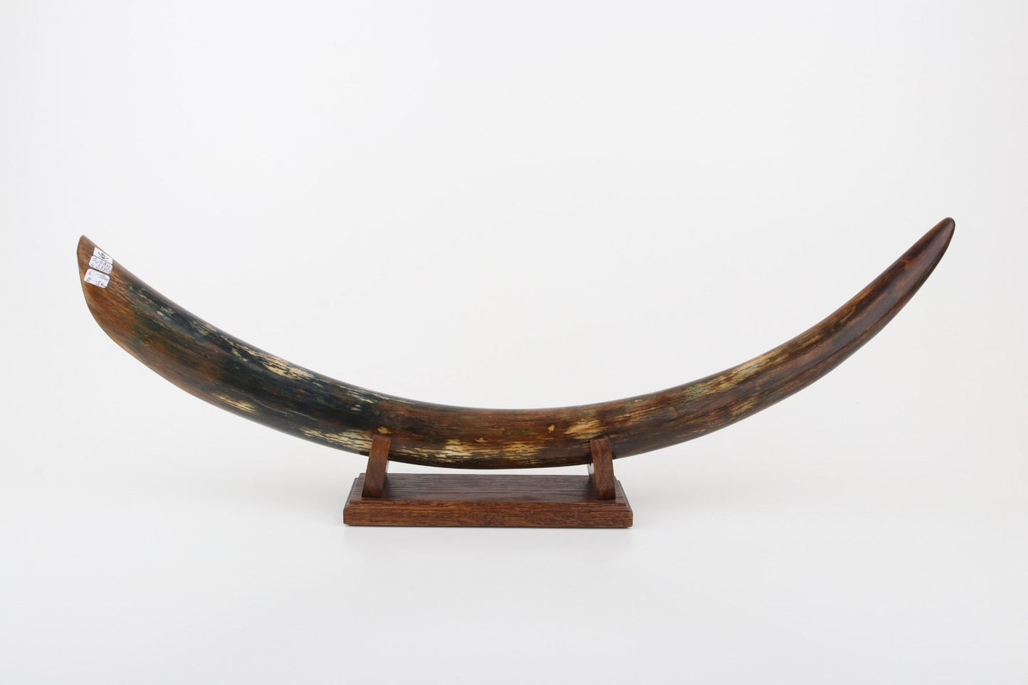 Restored mammoth tusk tip