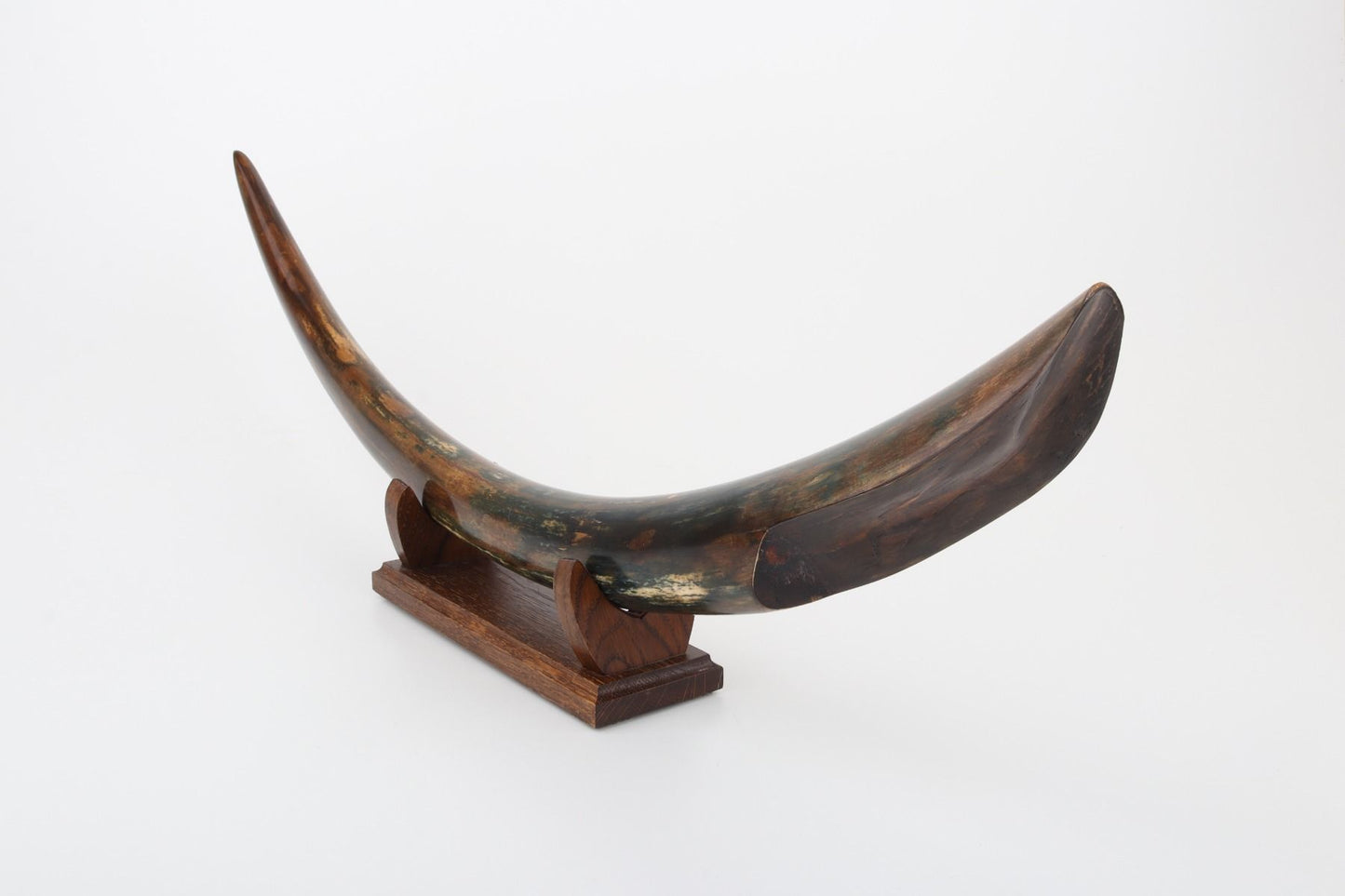 Restored mammoth tusk tip