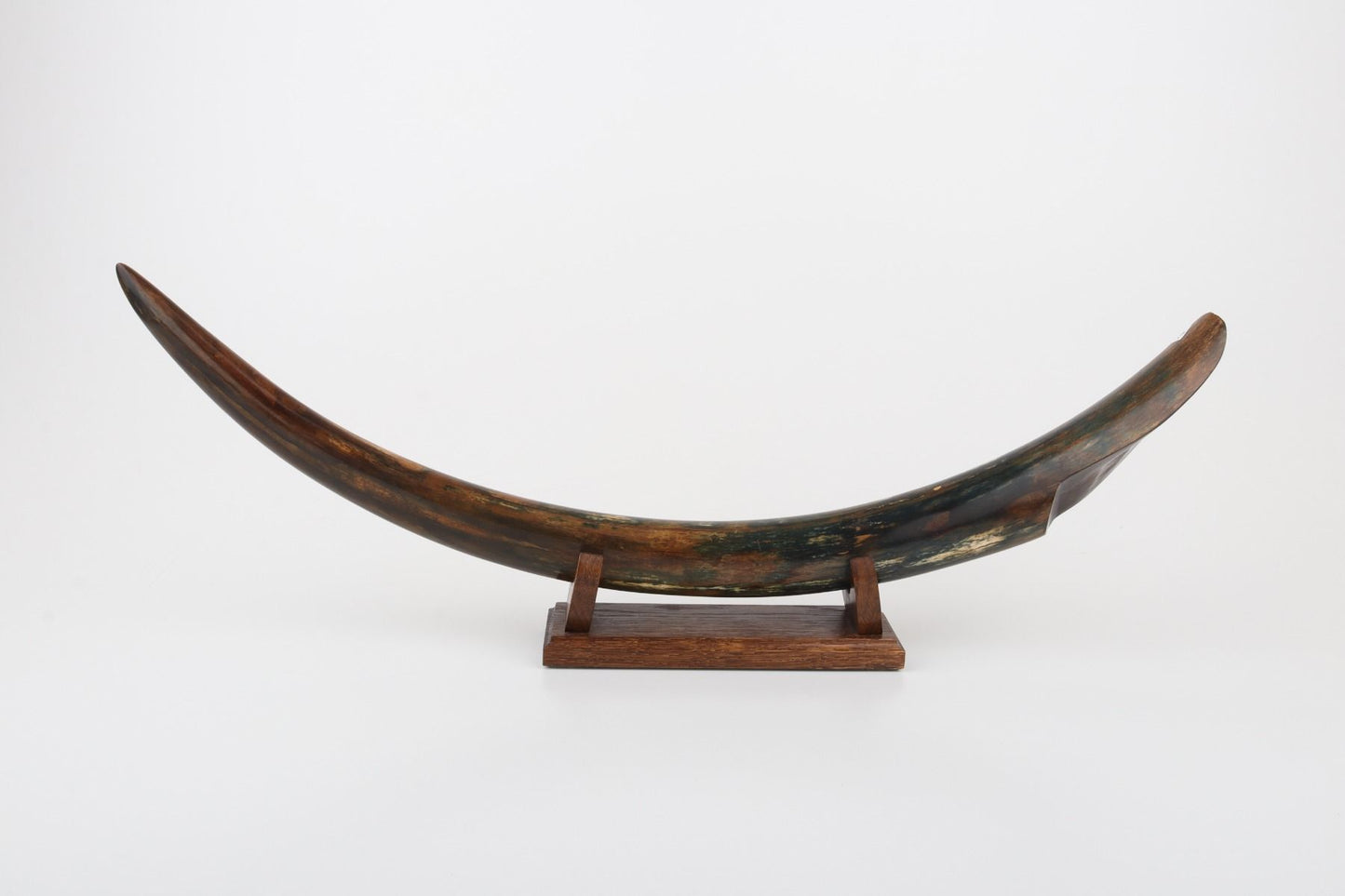 Restored mammoth tusk tip
