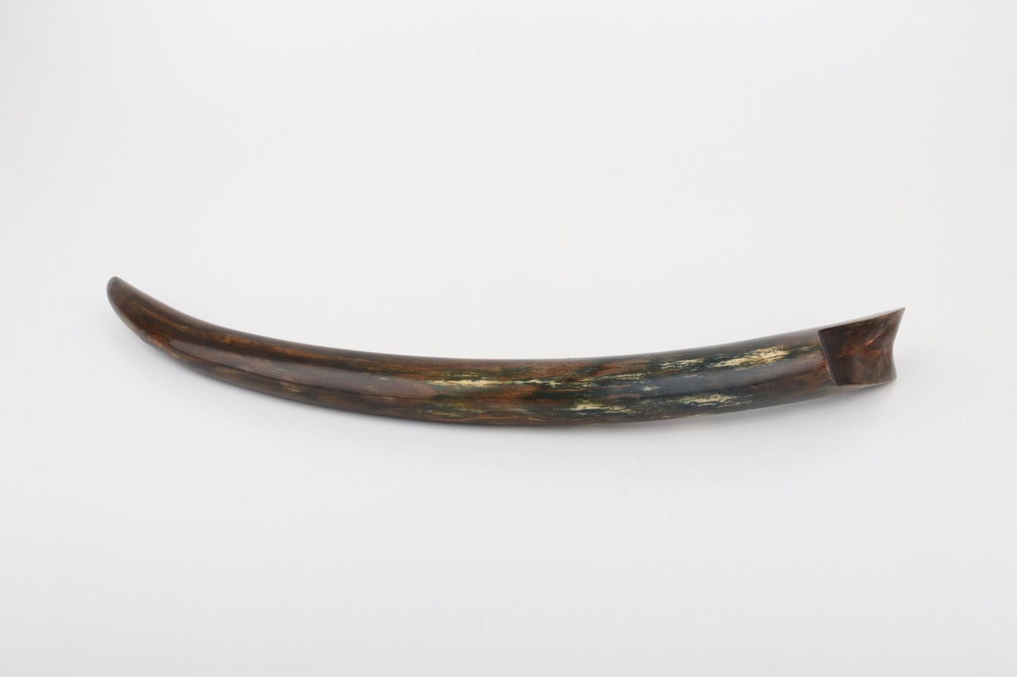 Restored mammoth tusk tip