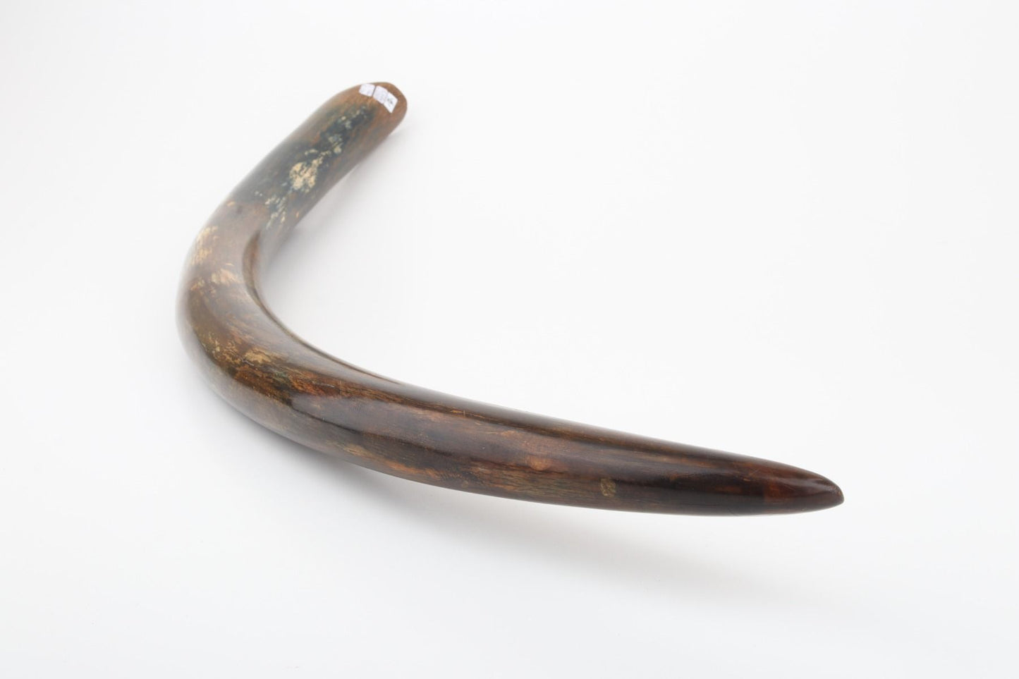 Restored mammoth tusk tip