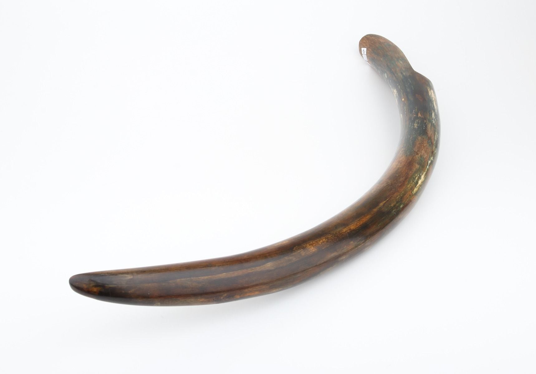 Restored mammoth tusk tip