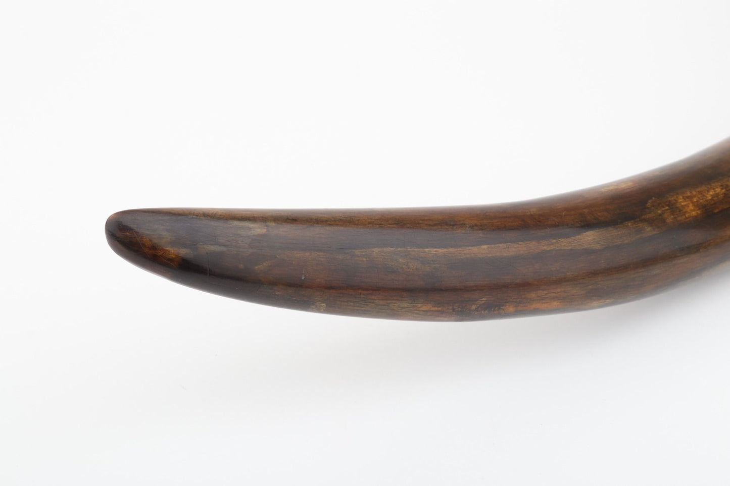 Restored mammoth tusk tip