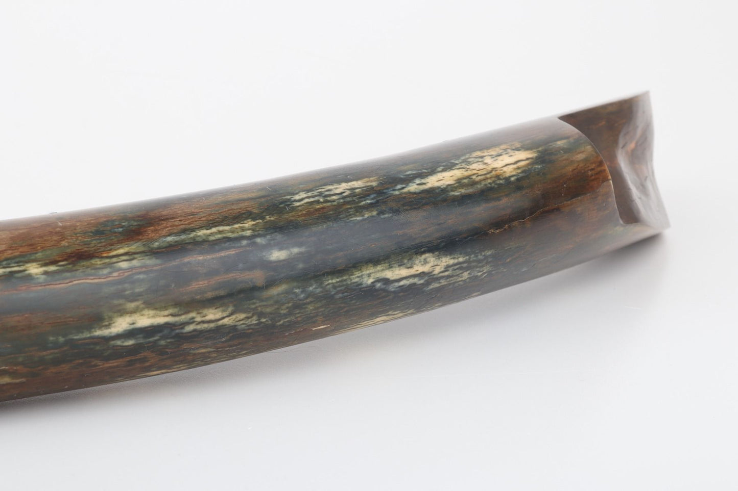 Restored mammoth tusk tip