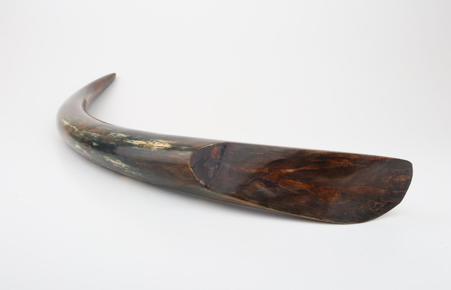 Restored mammoth tusk tip