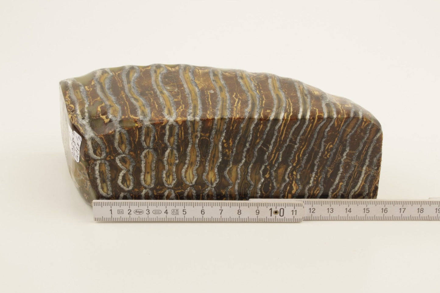 Stabilized mammoth molar piece