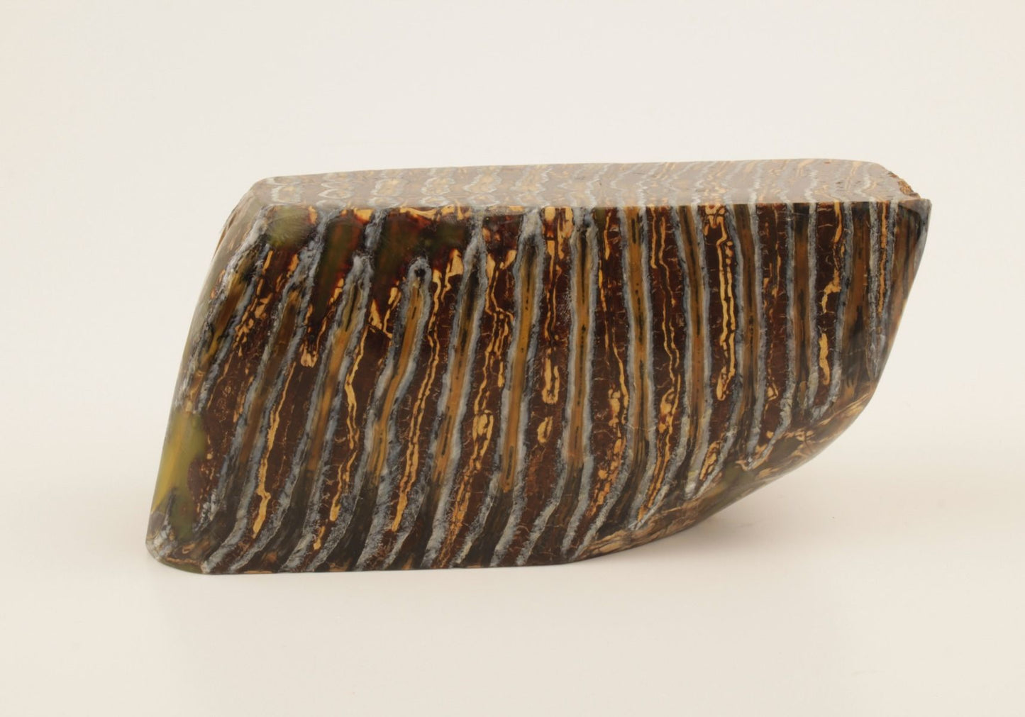 Stabilized mammoth molar piece