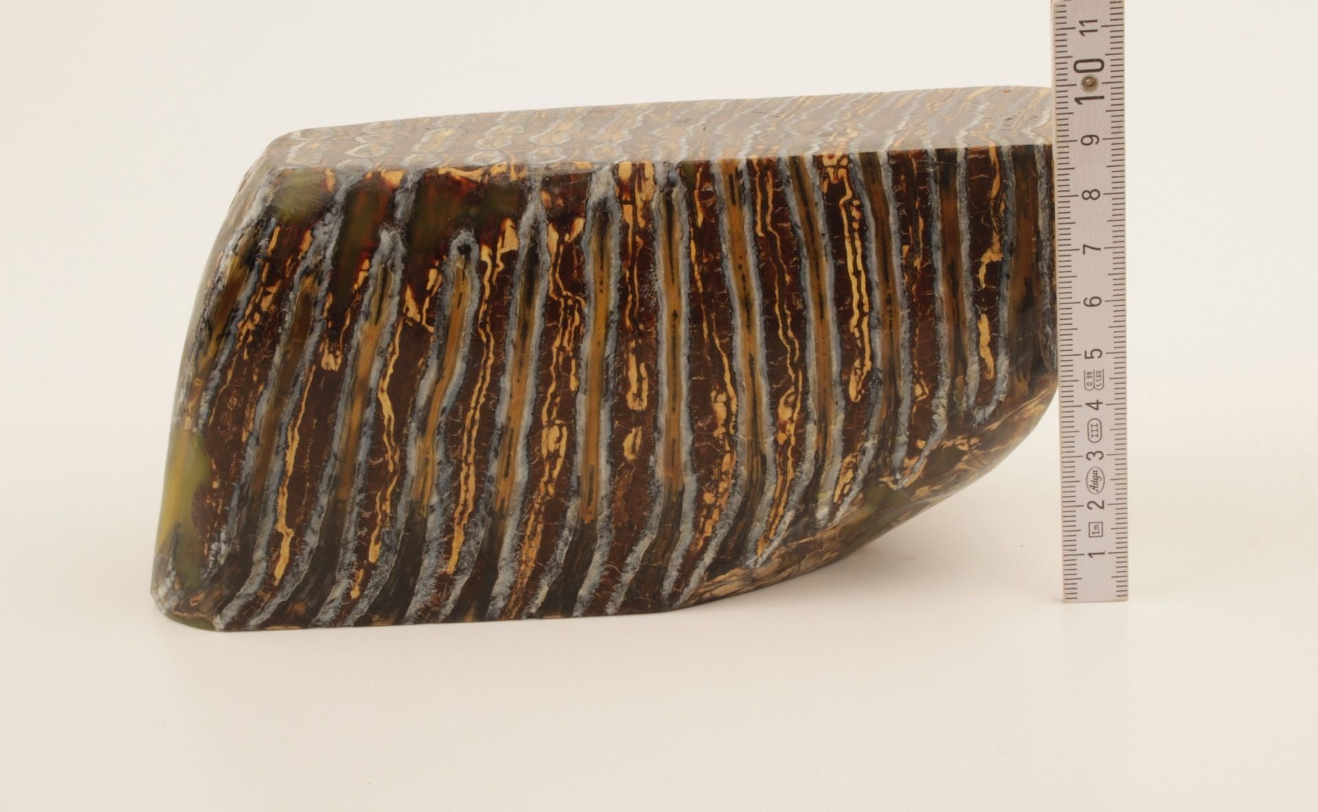 Stabilized mammoth molar piece