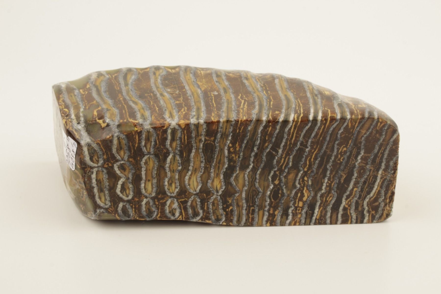Stabilized mammoth molar piece