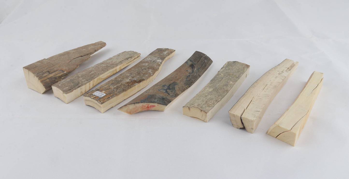 Raw mammoth ivory pieces