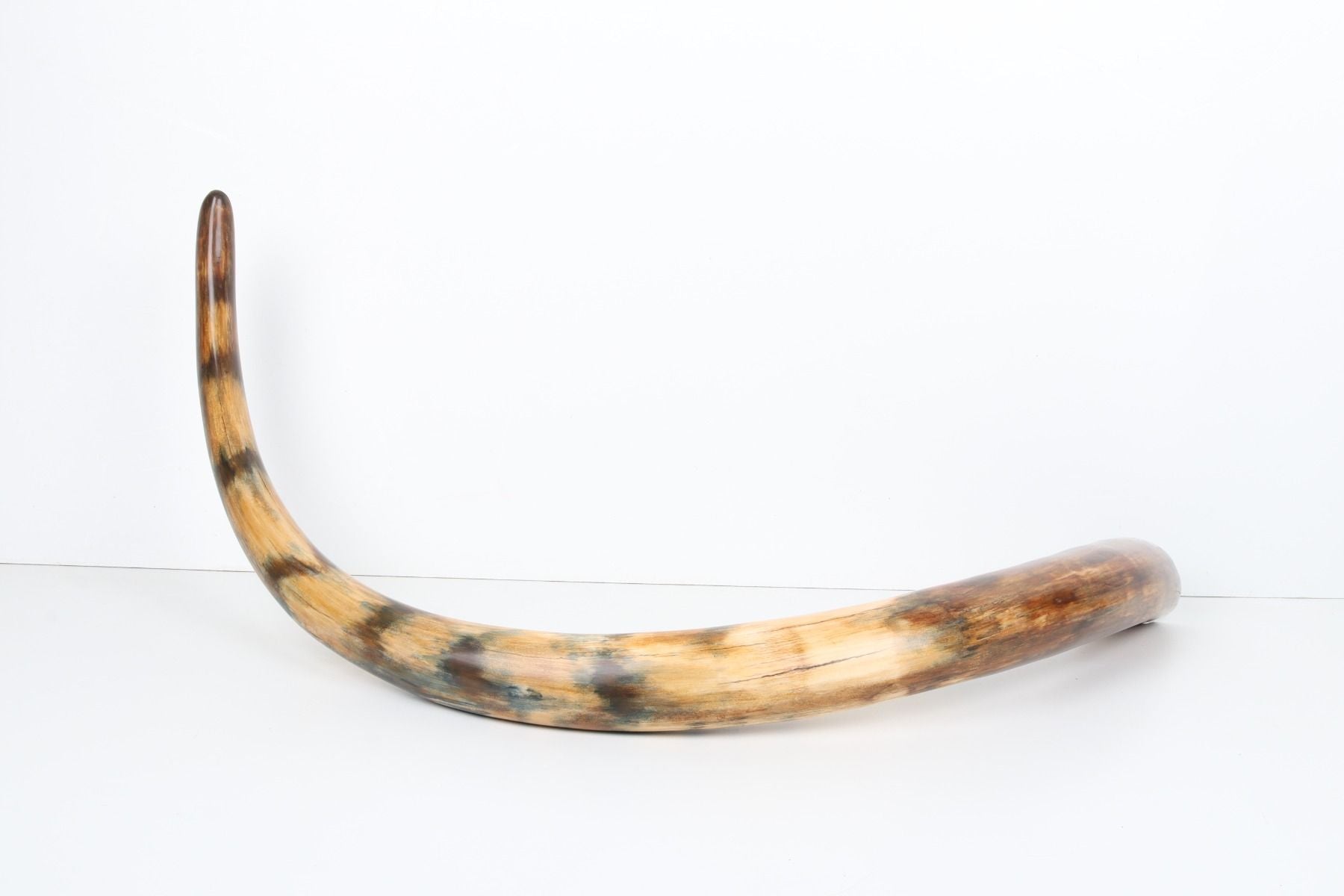 Restored woolly mammoth tusk
