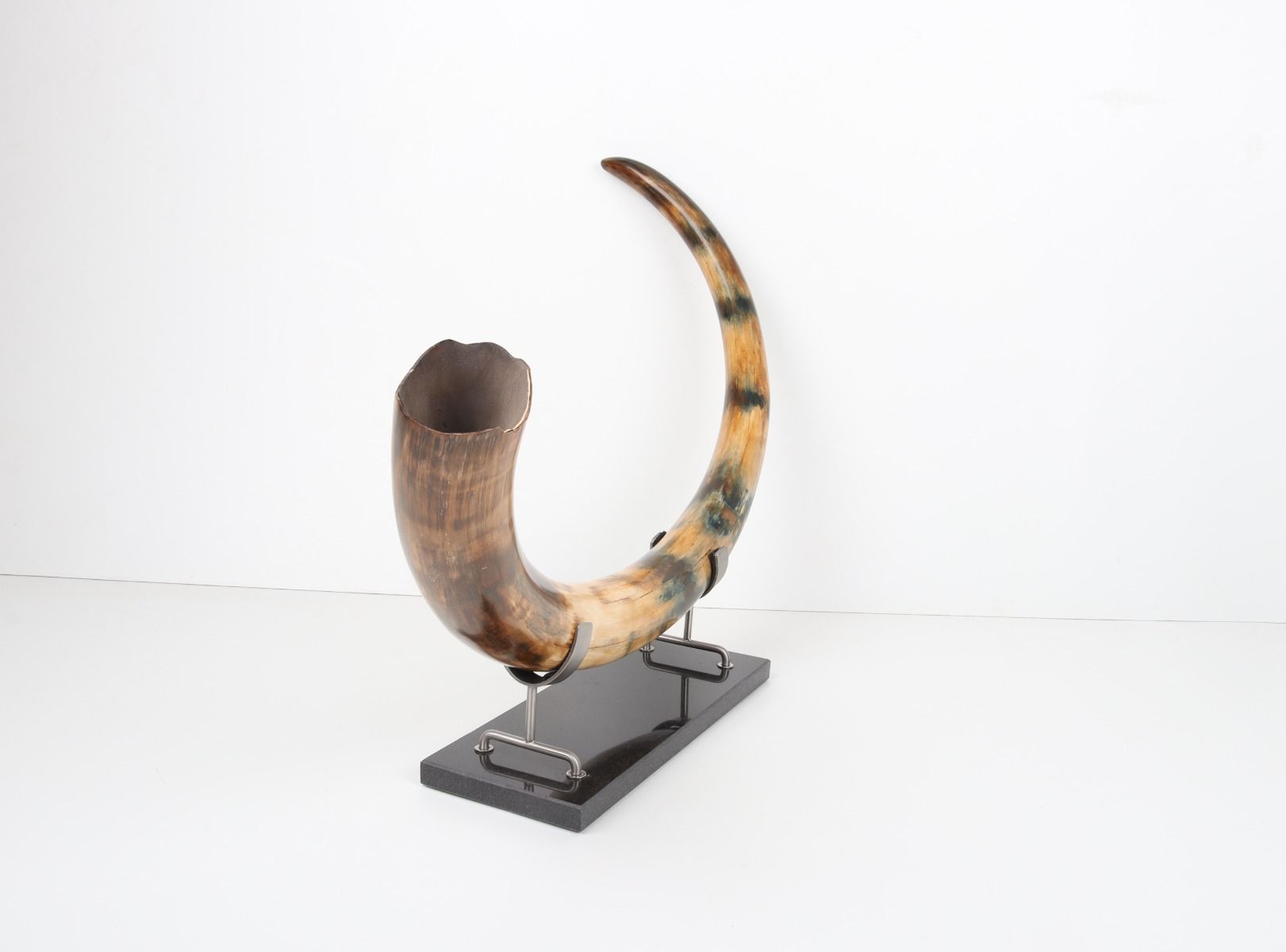 Restored woolly mammoth tusk