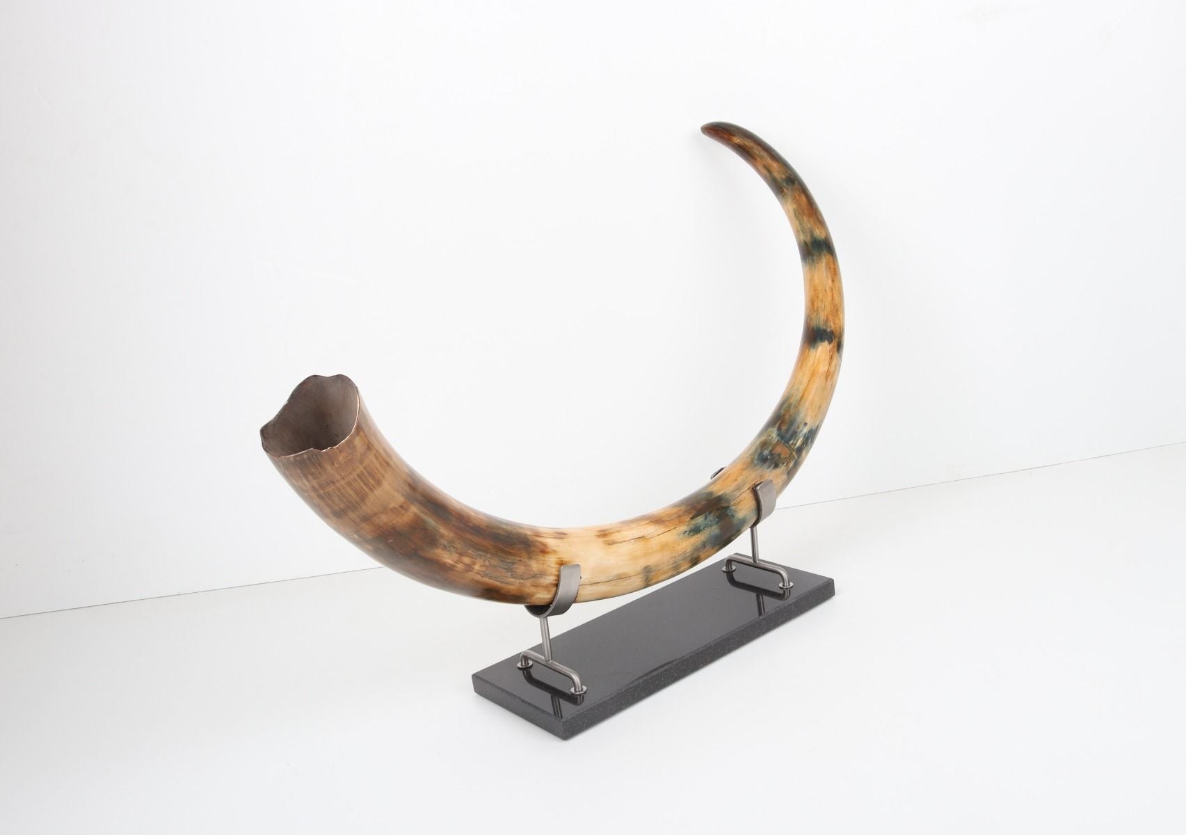 Restored woolly mammoth tusk