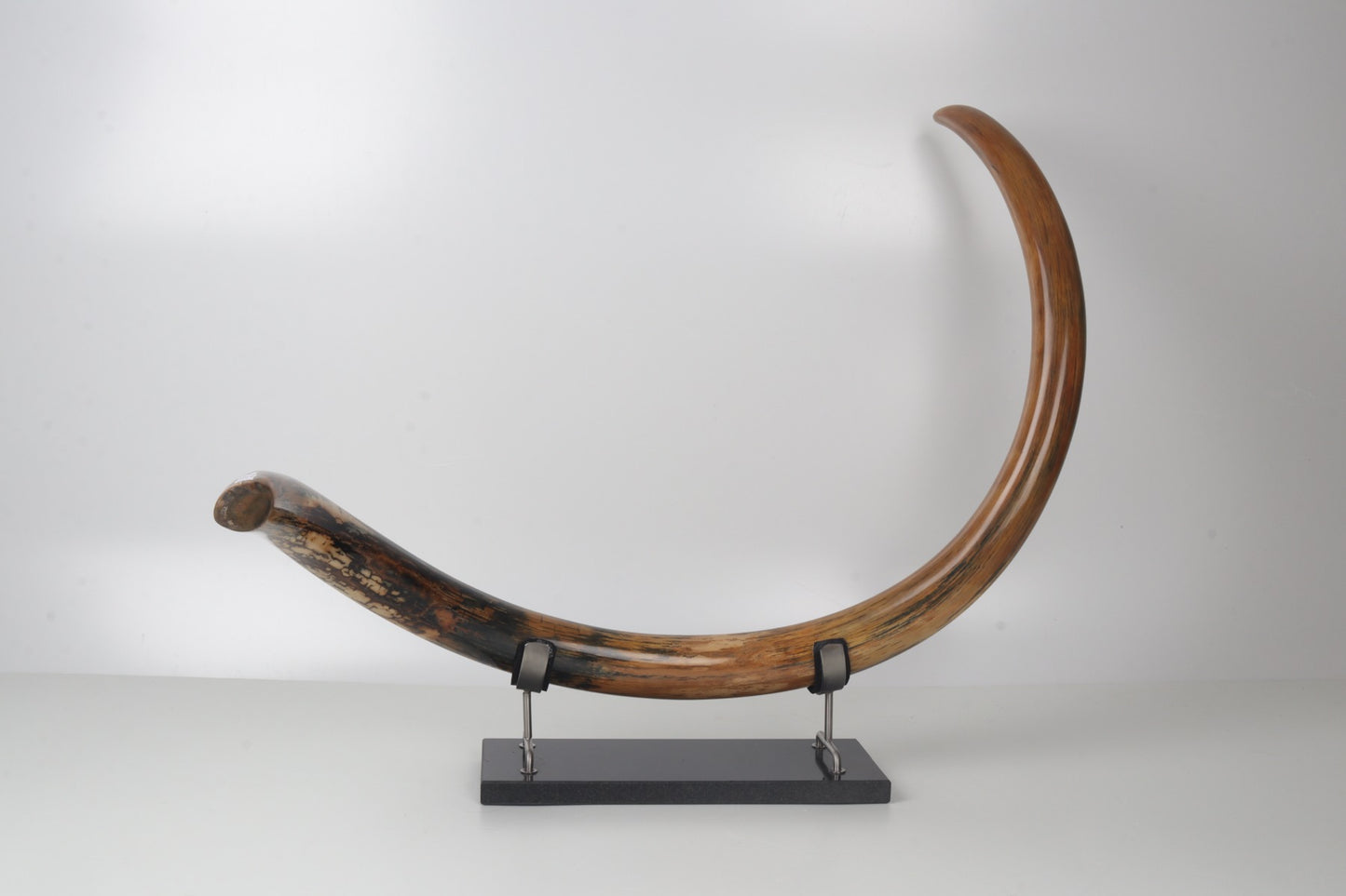 Restored woolly mammoth tusk