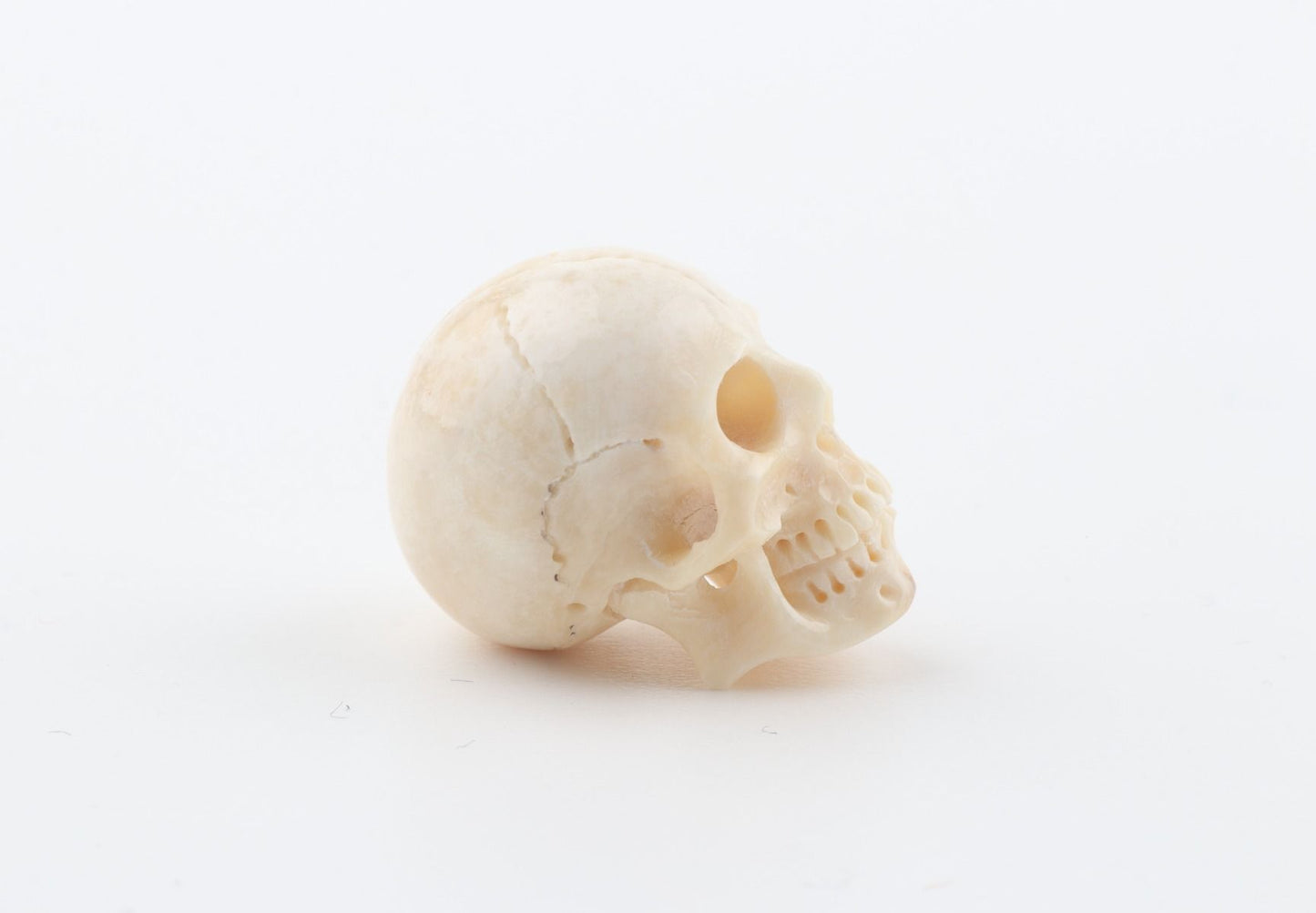 Hand carved mammoth ivory skull