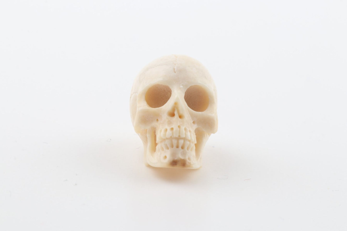 Hand carved mammoth ivory skull