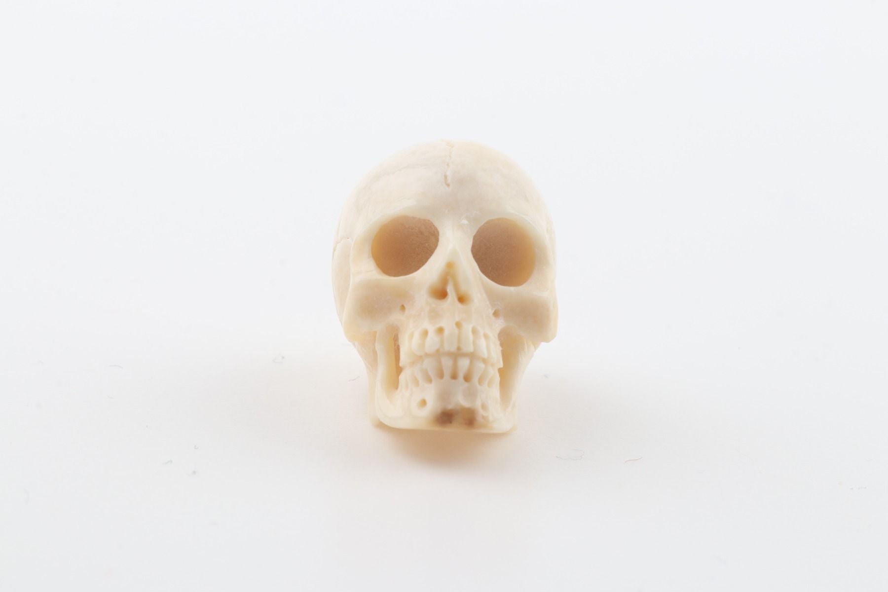 Hand carved mammoth ivory skull