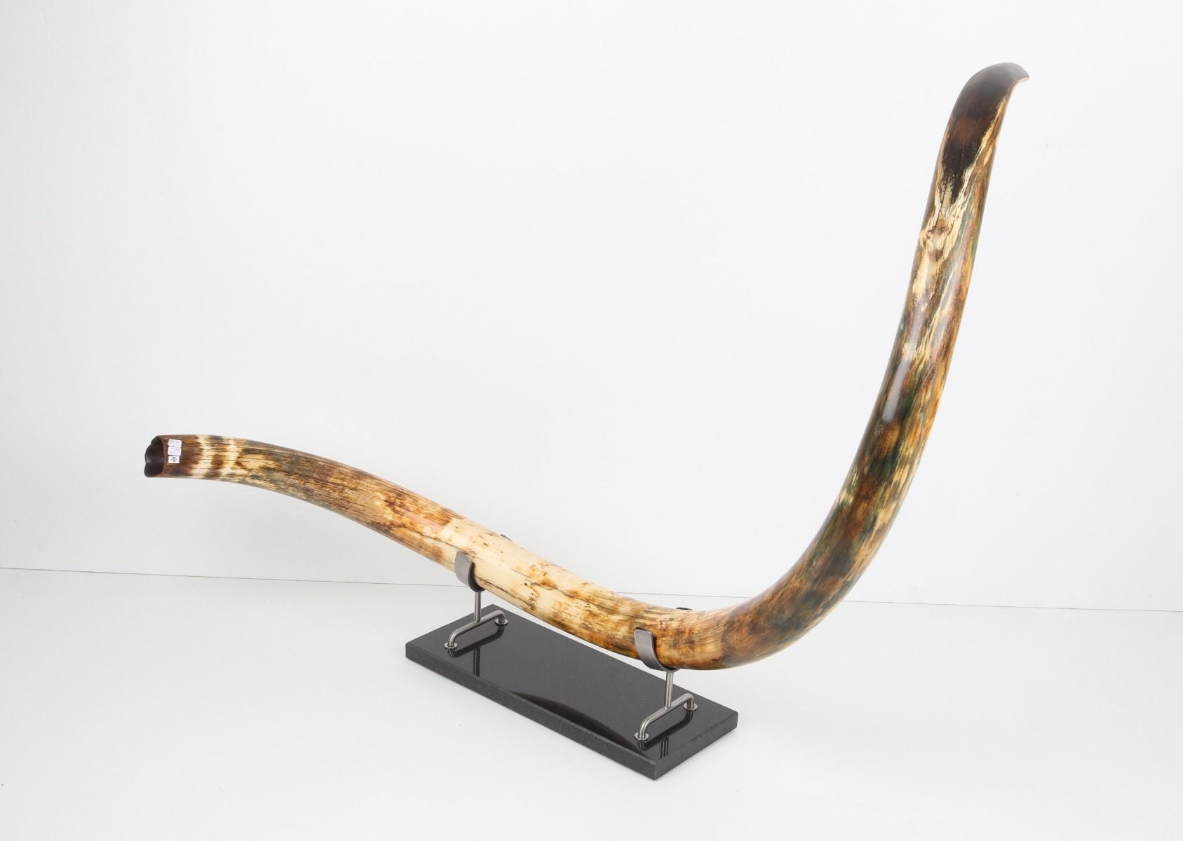 Restored woolly mammoth tusk