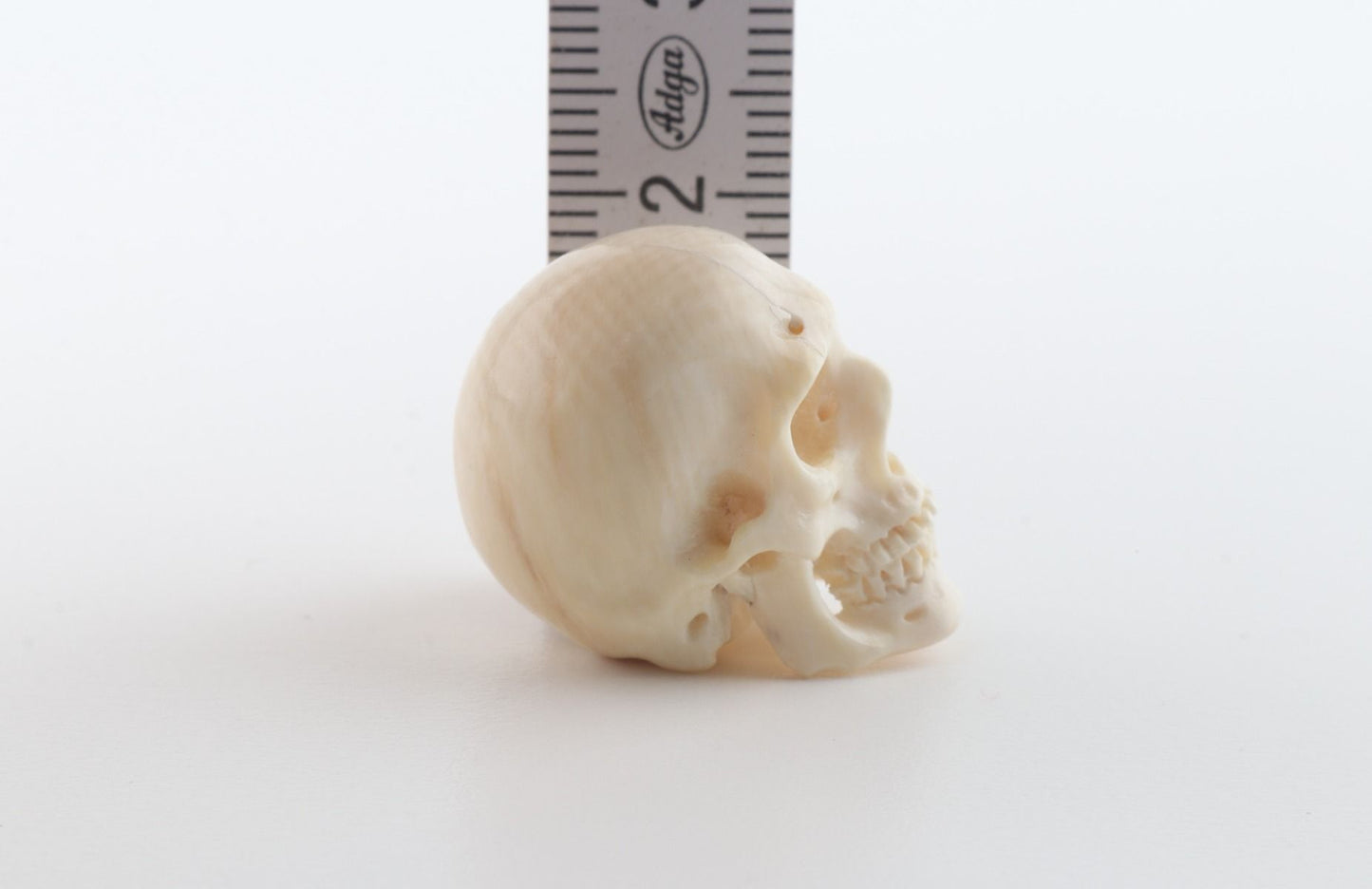 Hand carved mammoth ivory skull
