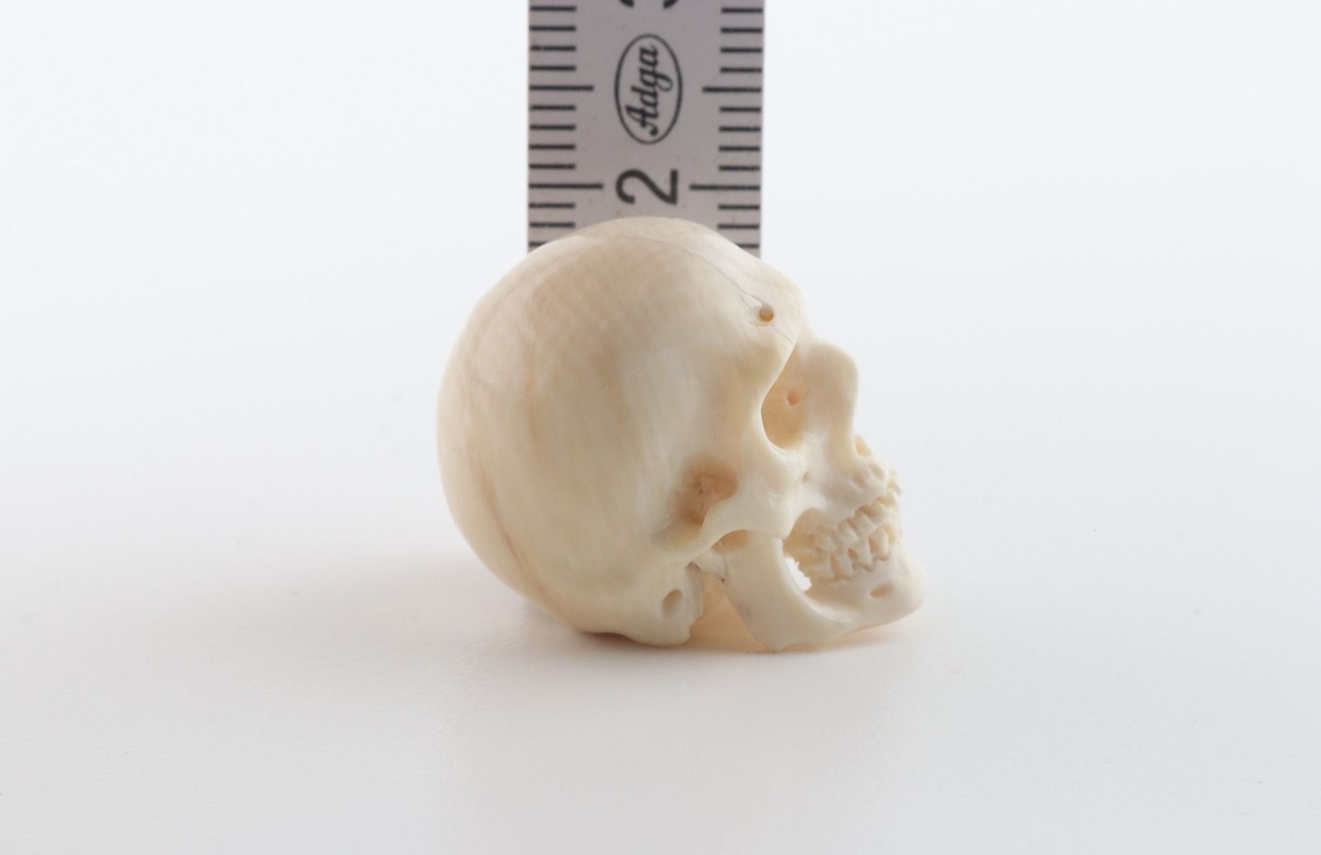 Hand carved mammoth ivory skull