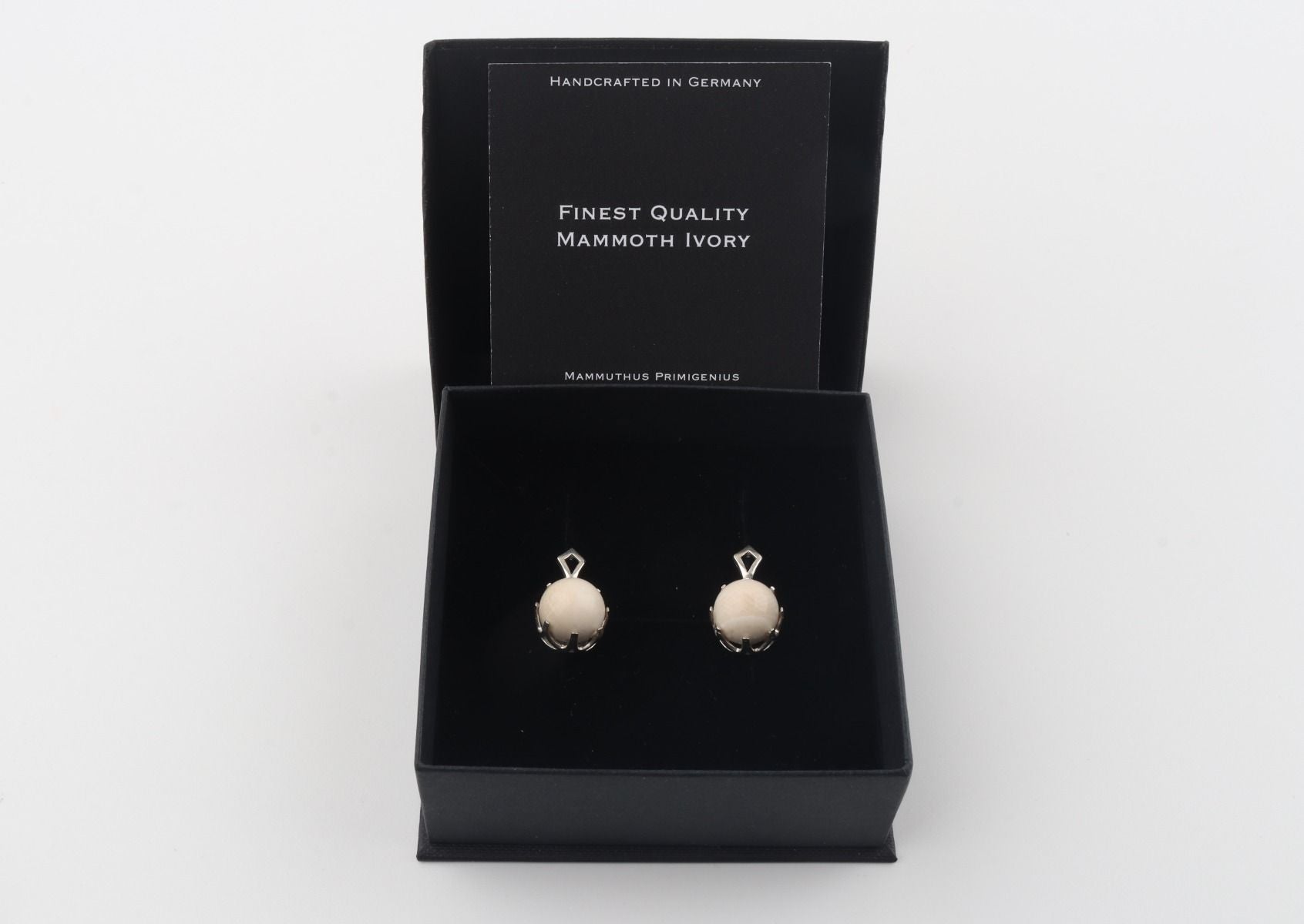 Mammoth Ivory & Silver Earrings