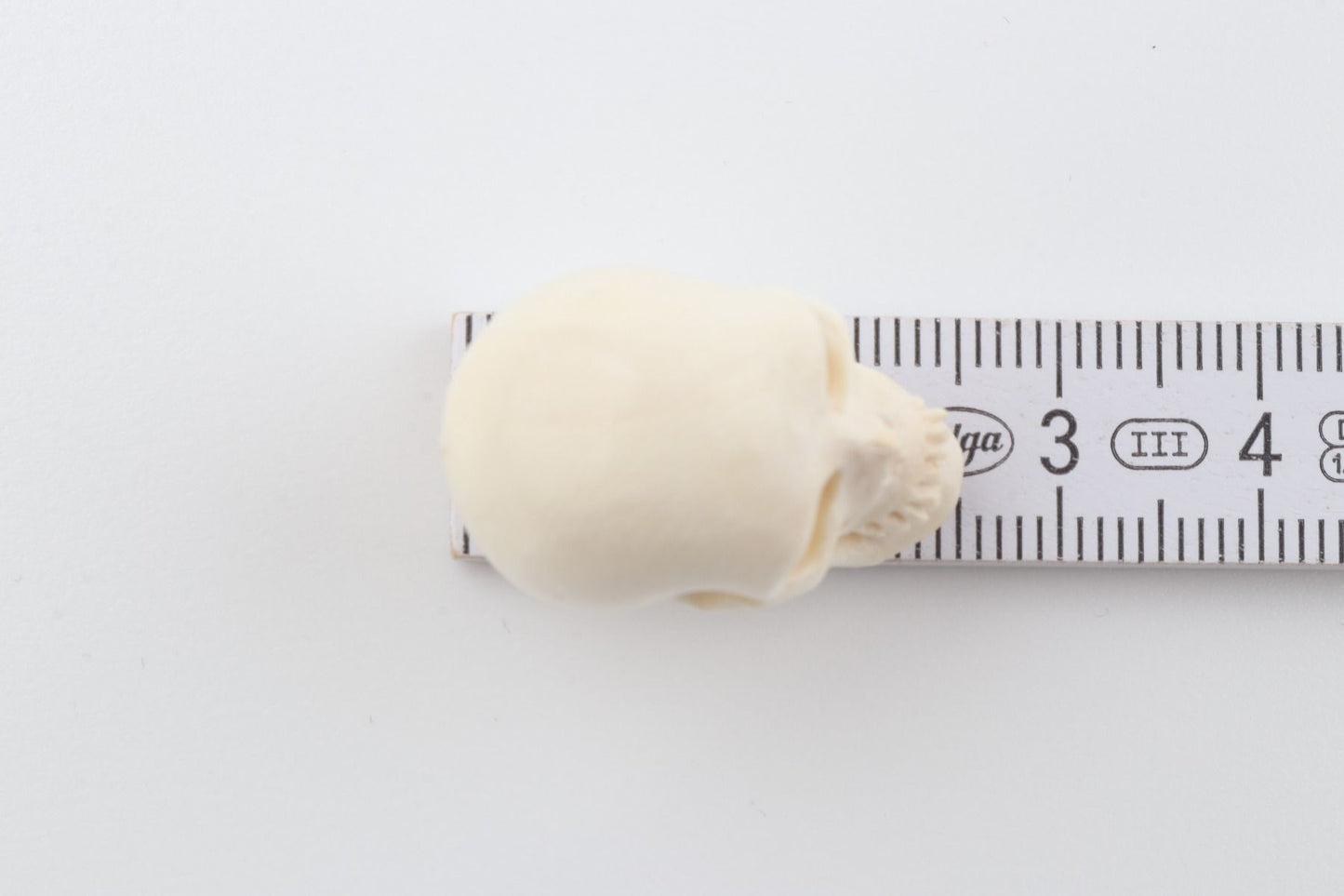 Hand carved mammoth ivory skull