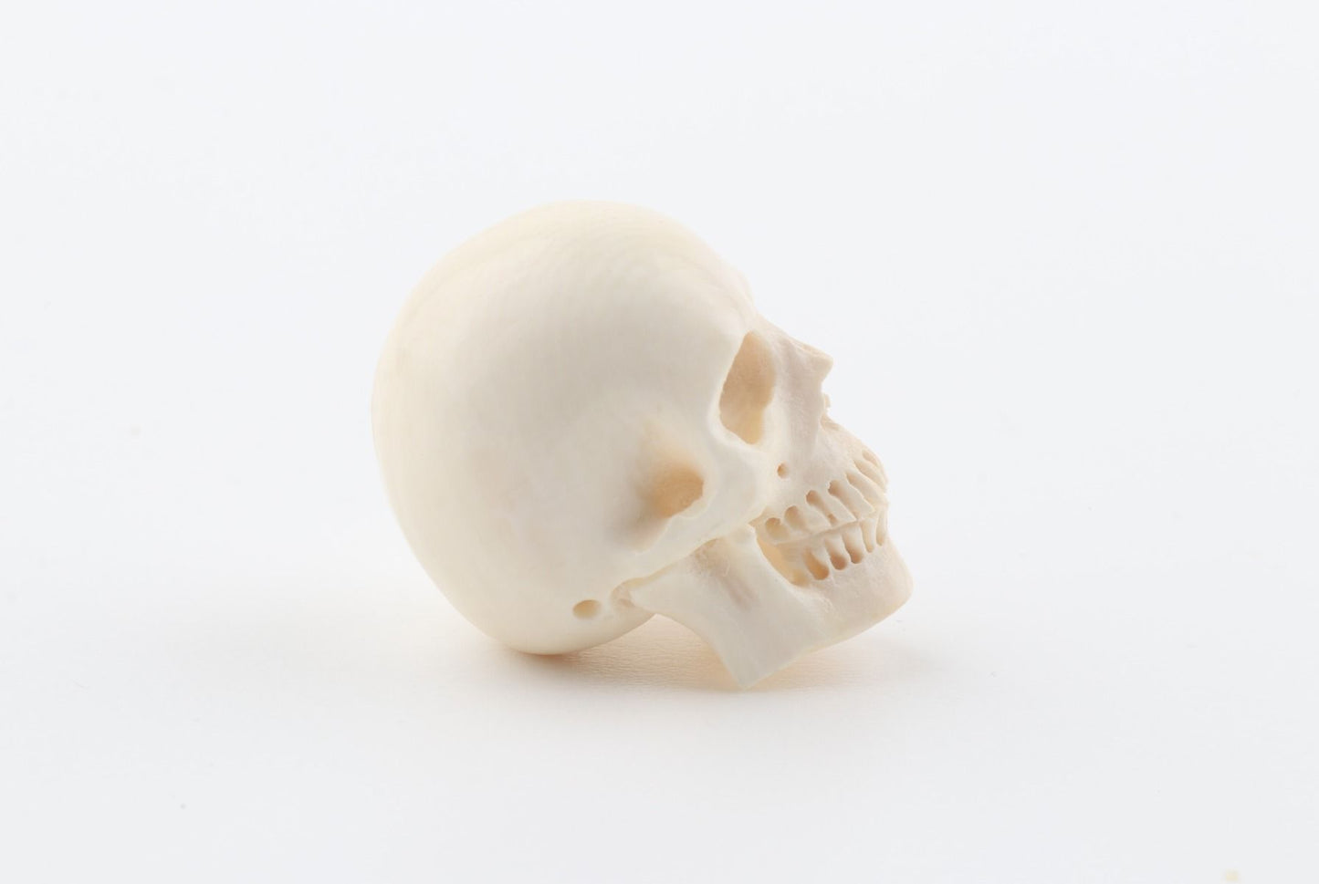 Hand carved mammoth ivory skull