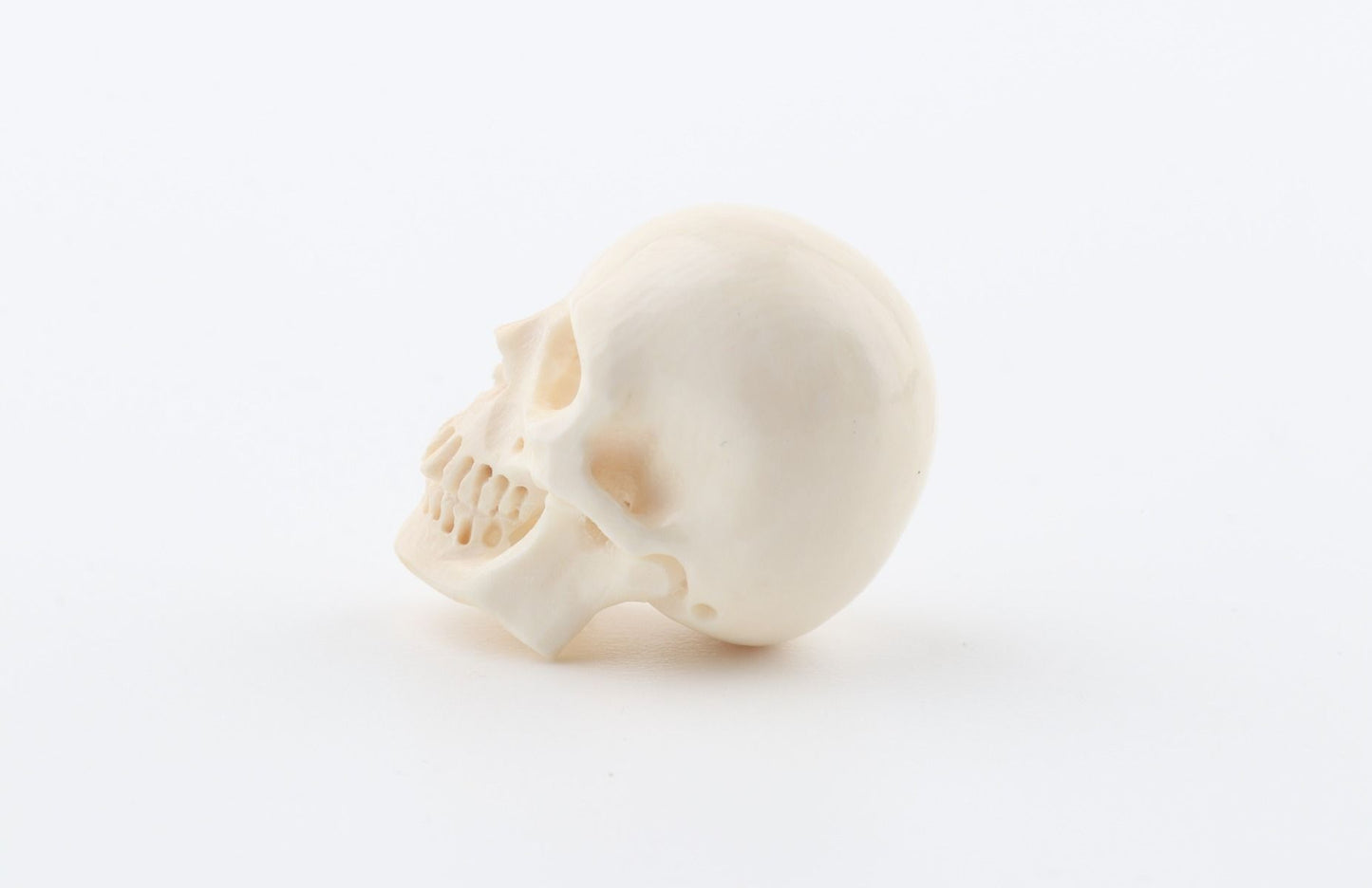 Hand carved mammoth ivory skull