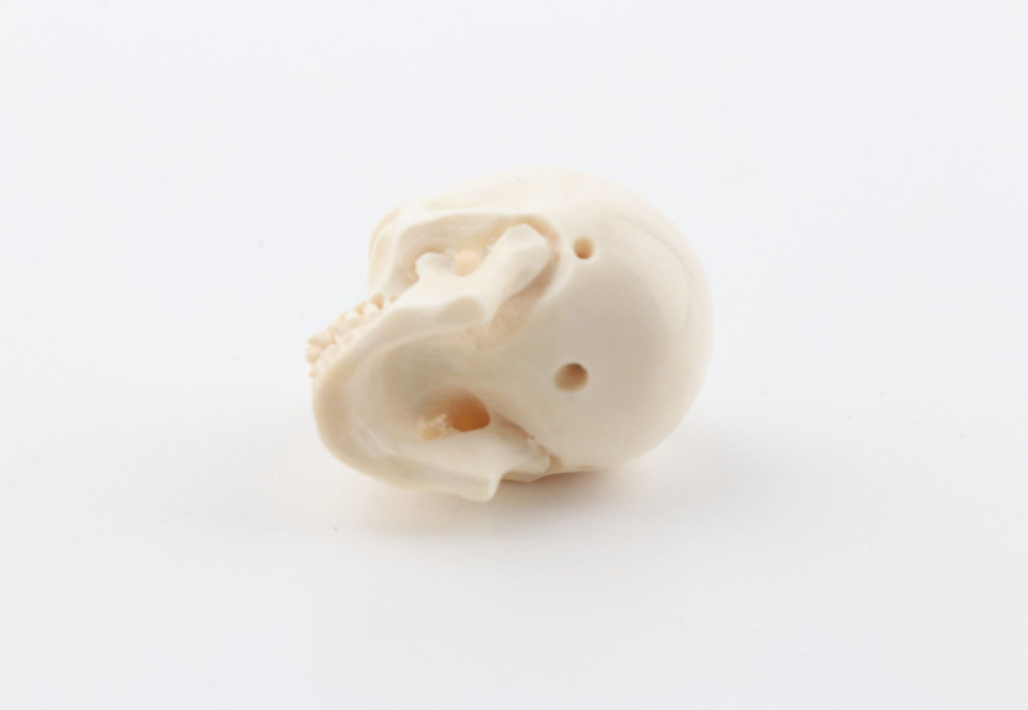 Hand carved mammoth ivory skull