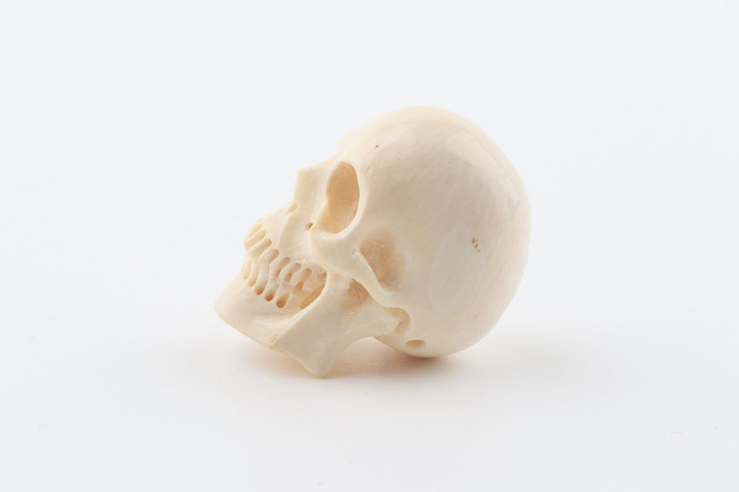 Hand carved mammoth ivory skull