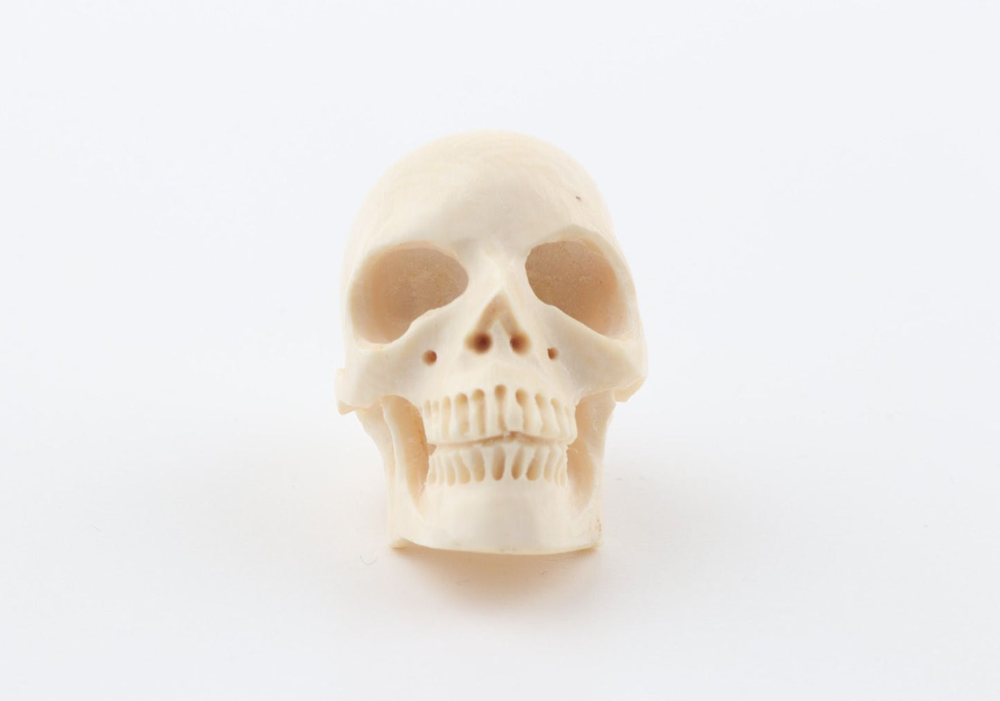 Hand carved mammoth ivory skull